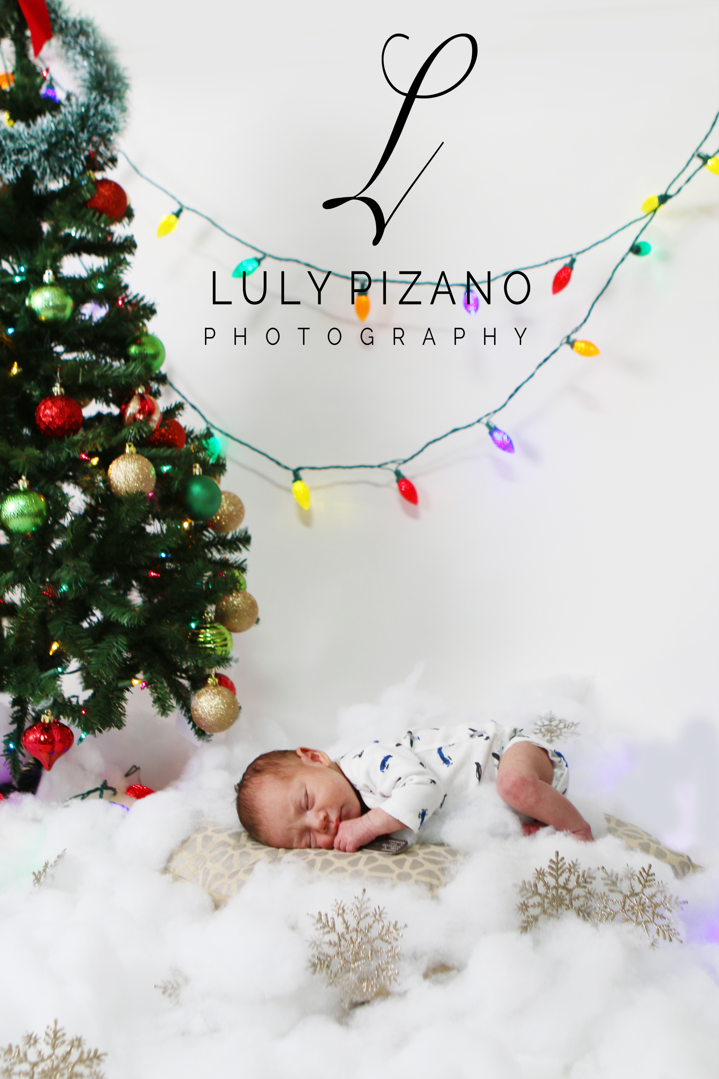 Christmas Joy