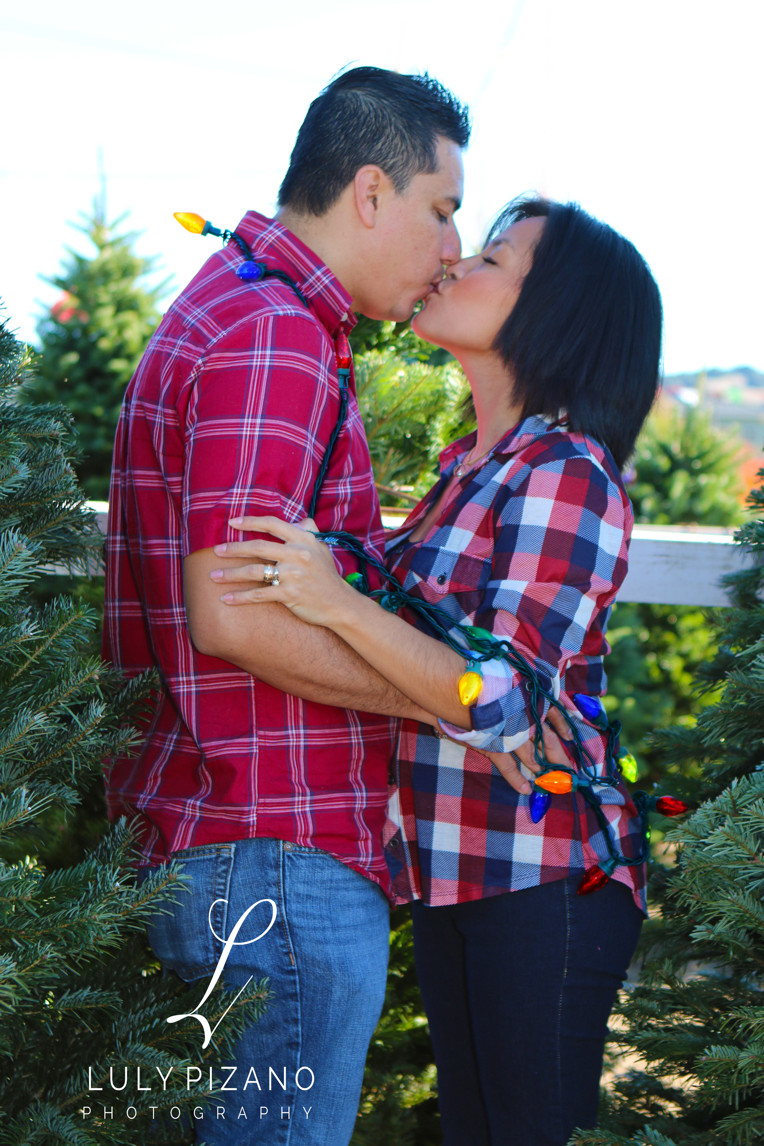 Christmas Joy