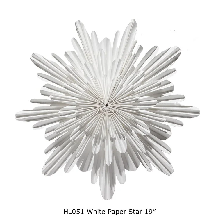 Paper Snowflake copy.jpg