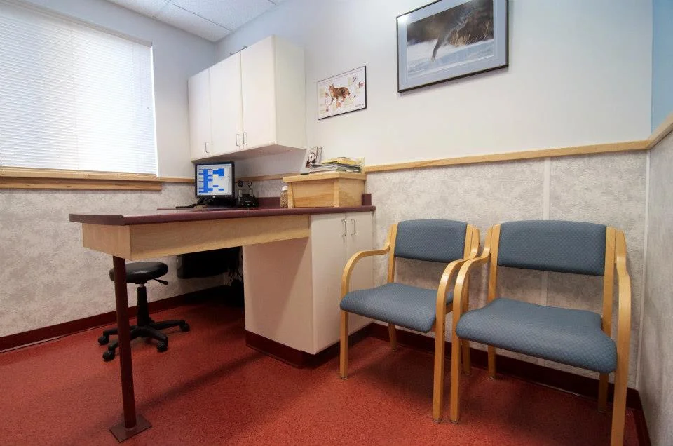 Your pet will be examined in one of our exam rooms.