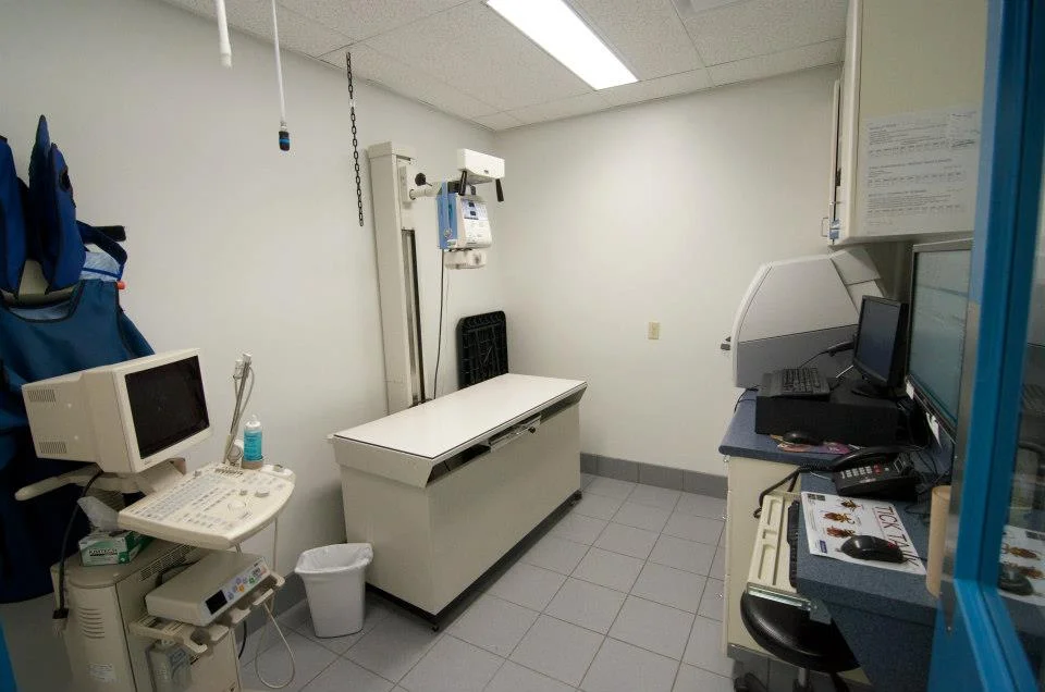 Our x-ray machine allows us to take high quality digital x-rays quickly, which can then be sent to specialists for interpretation when needed. We also have an ultrasound machine, which we can use for pregnancy evaluation, as well as evaluation of the heart, liver, spleen, kidneys, and bladder.