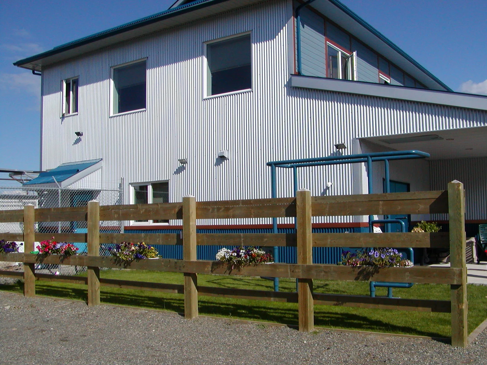 Horses can be examined and have minor procedures performed in our outdoor horse stocks.