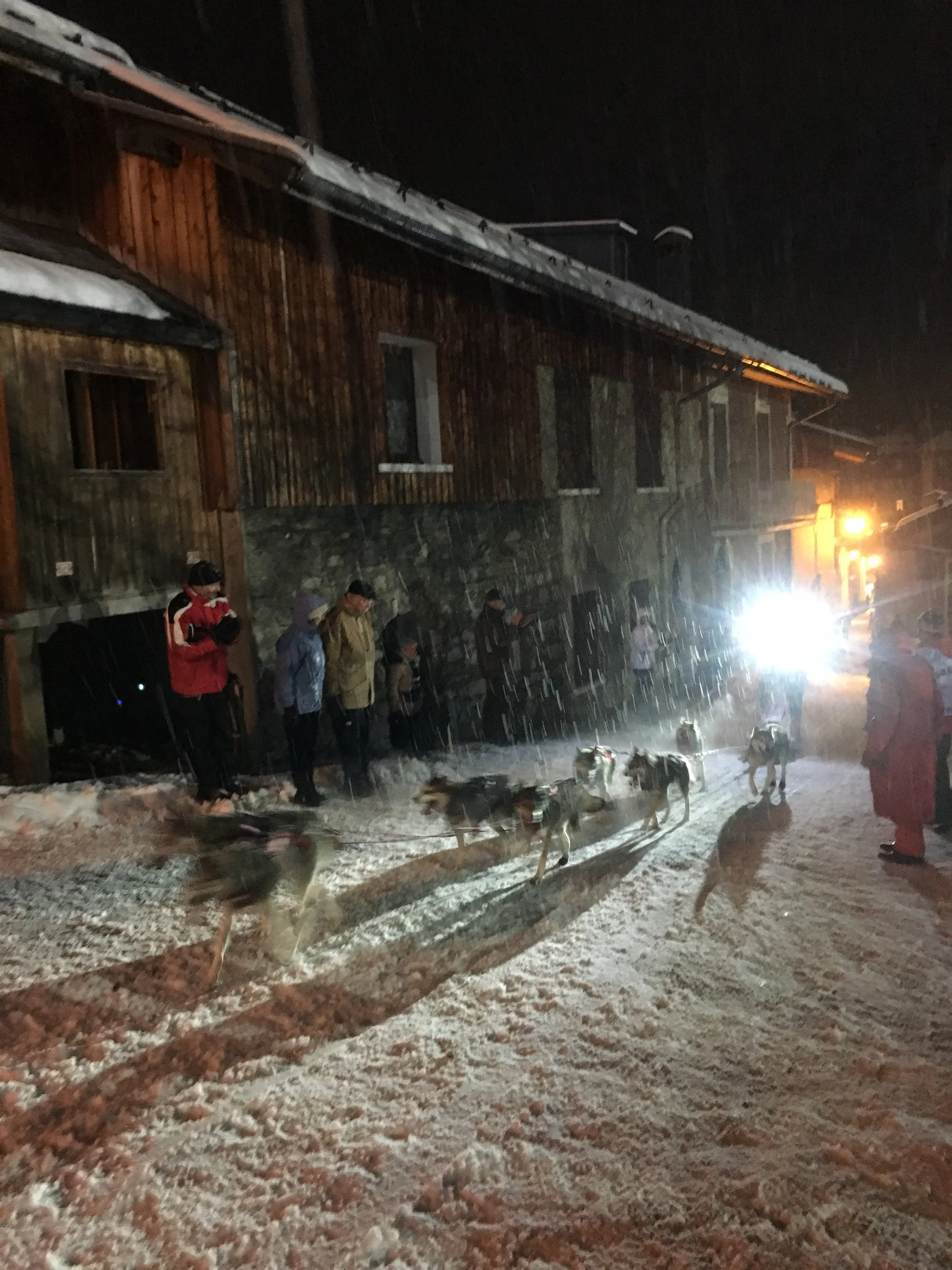 Dog team running through the pouring rain in Pralognan la Vanoise.