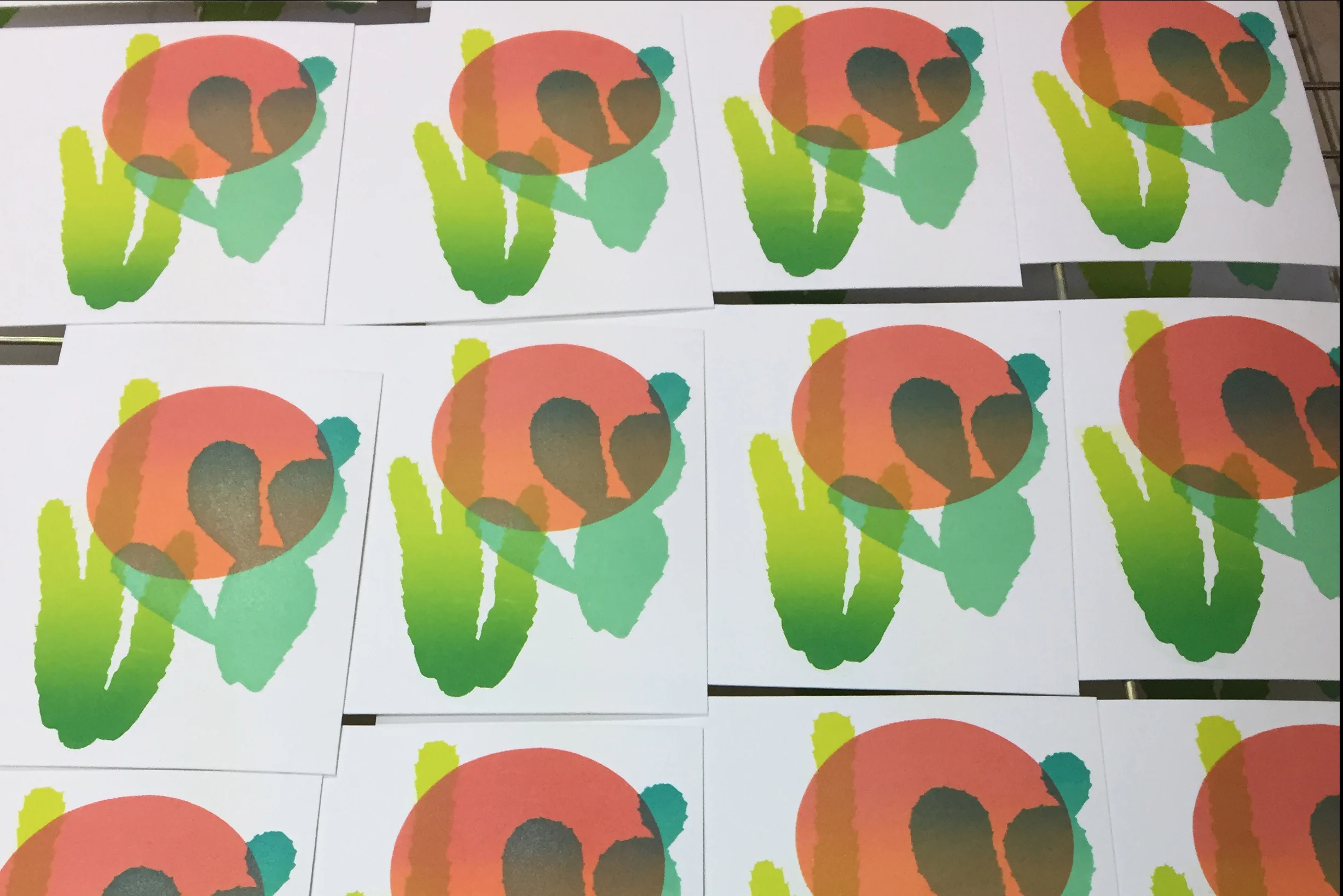 webcactus.jpg