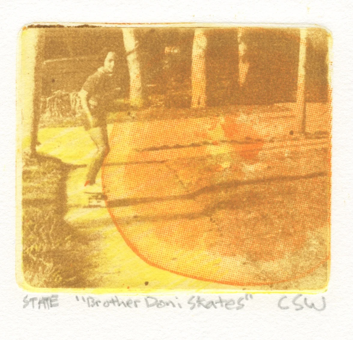 Solarplate 2.jpeg