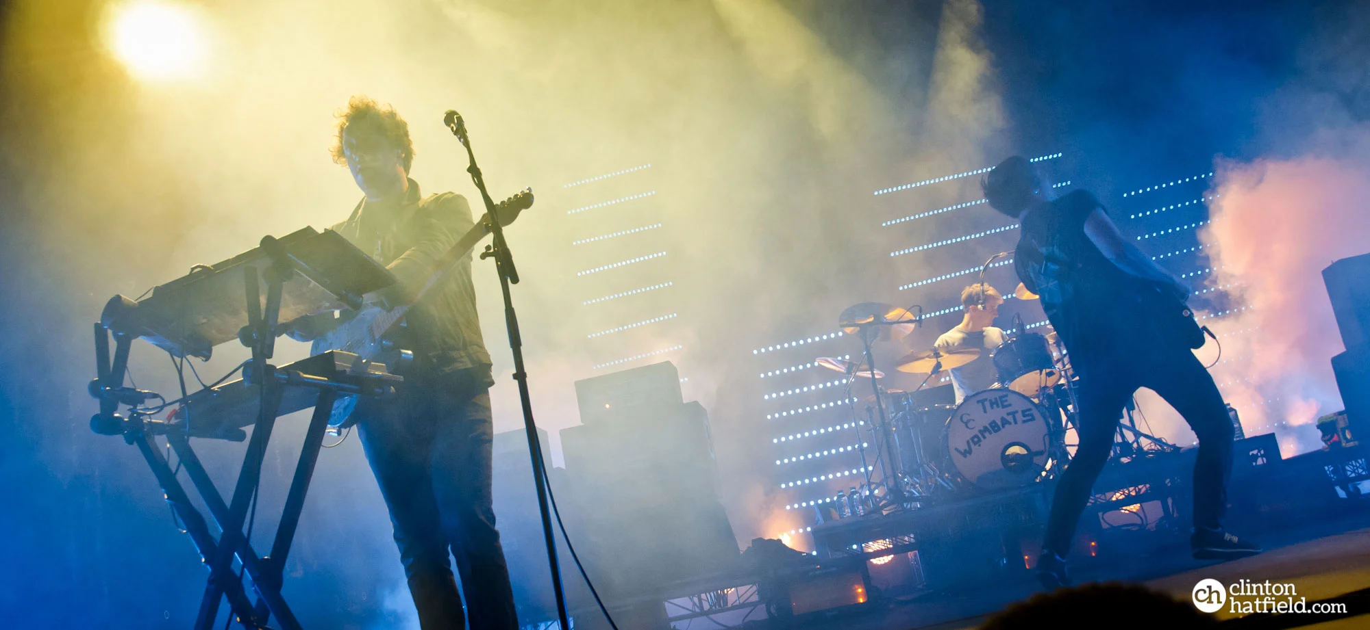 Wombats-1.jpg