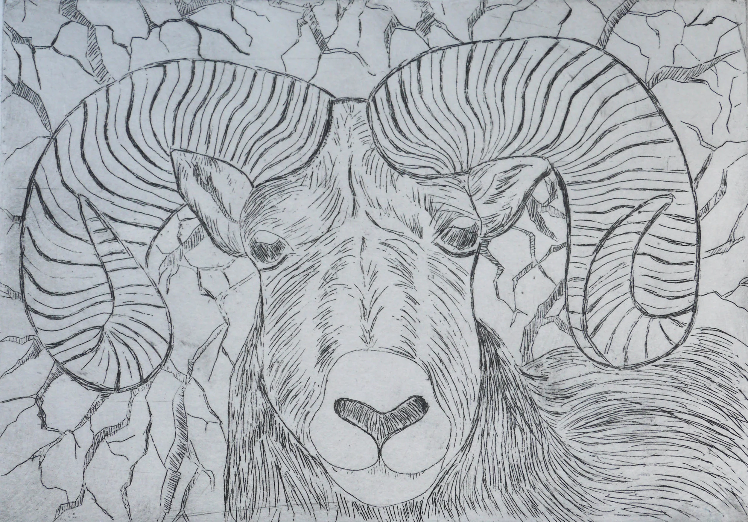 Copper Etching Print