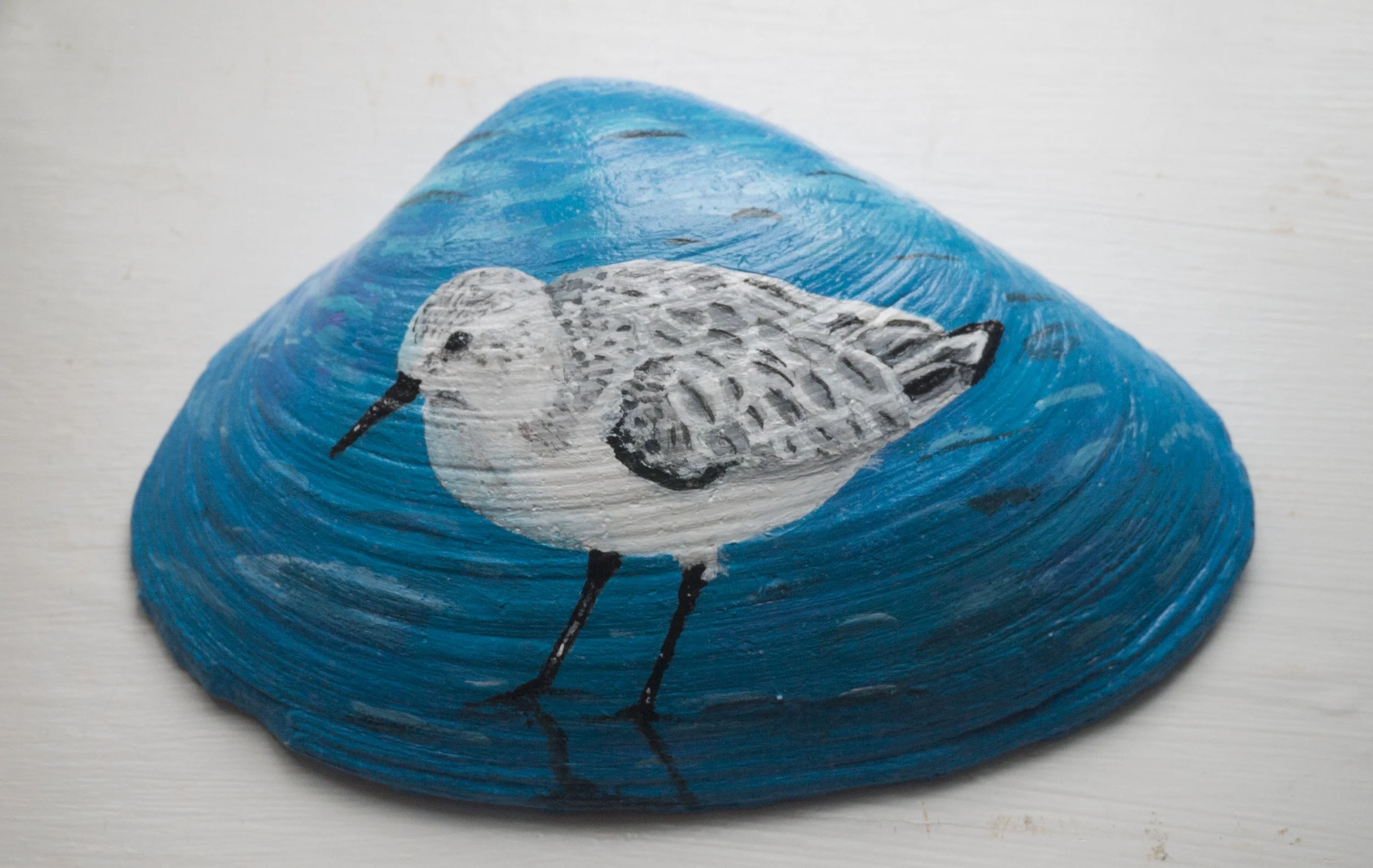 Shell Series