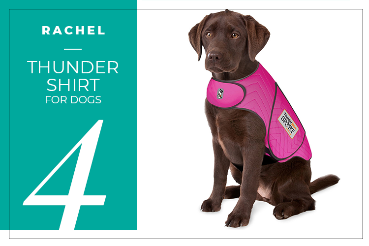 FavThings-BlogPost-Images-dogs.png
