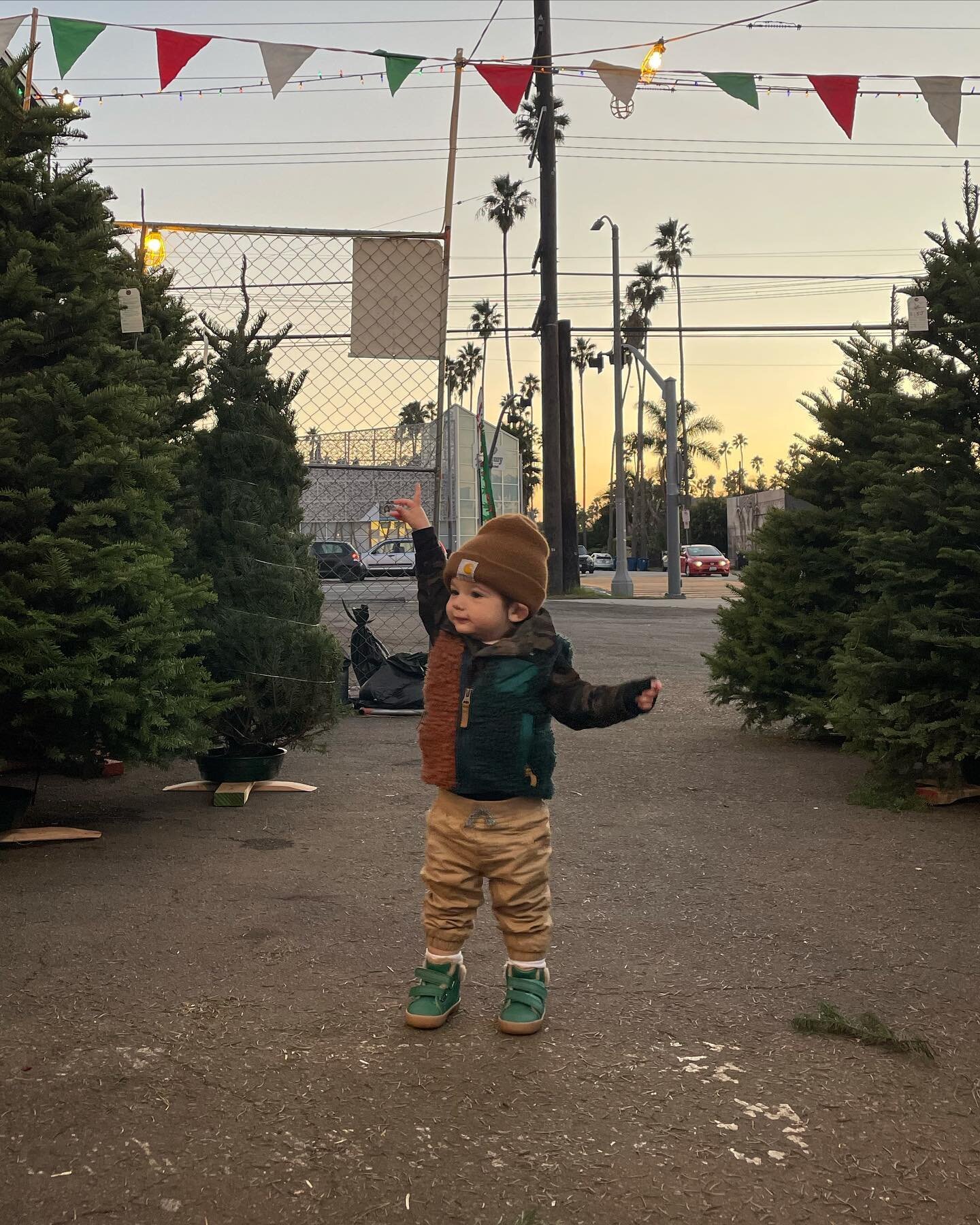 Before we take the 🎄 down, posting pics of us picking it out to the feed. Hope everyone&rsquo;s holiday was merry and bright 💖! #latergram #Calvinfornia #YouCanCallHimCal #happythankyoumoreplease