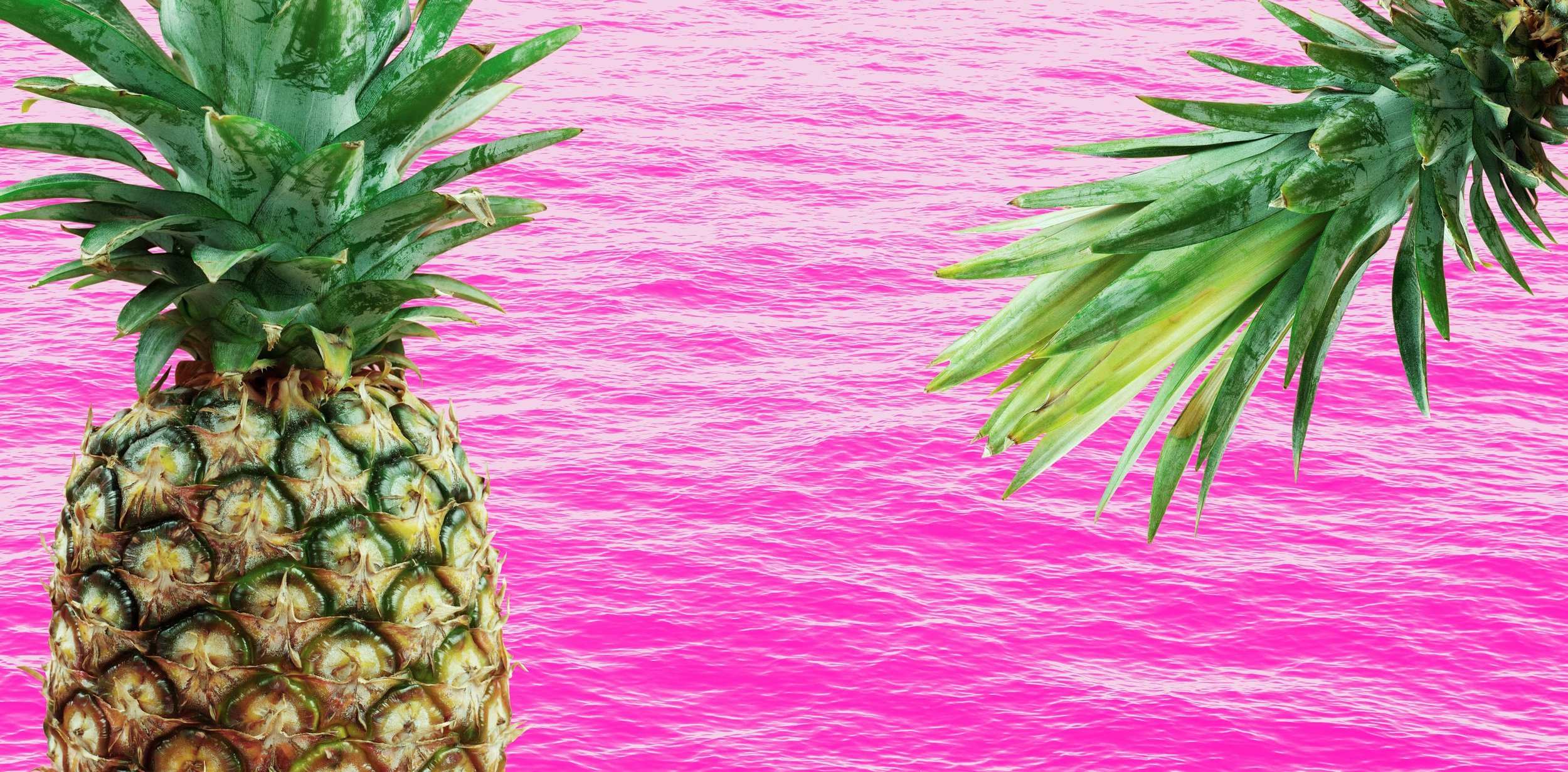 pineapplebanner-1.jpg