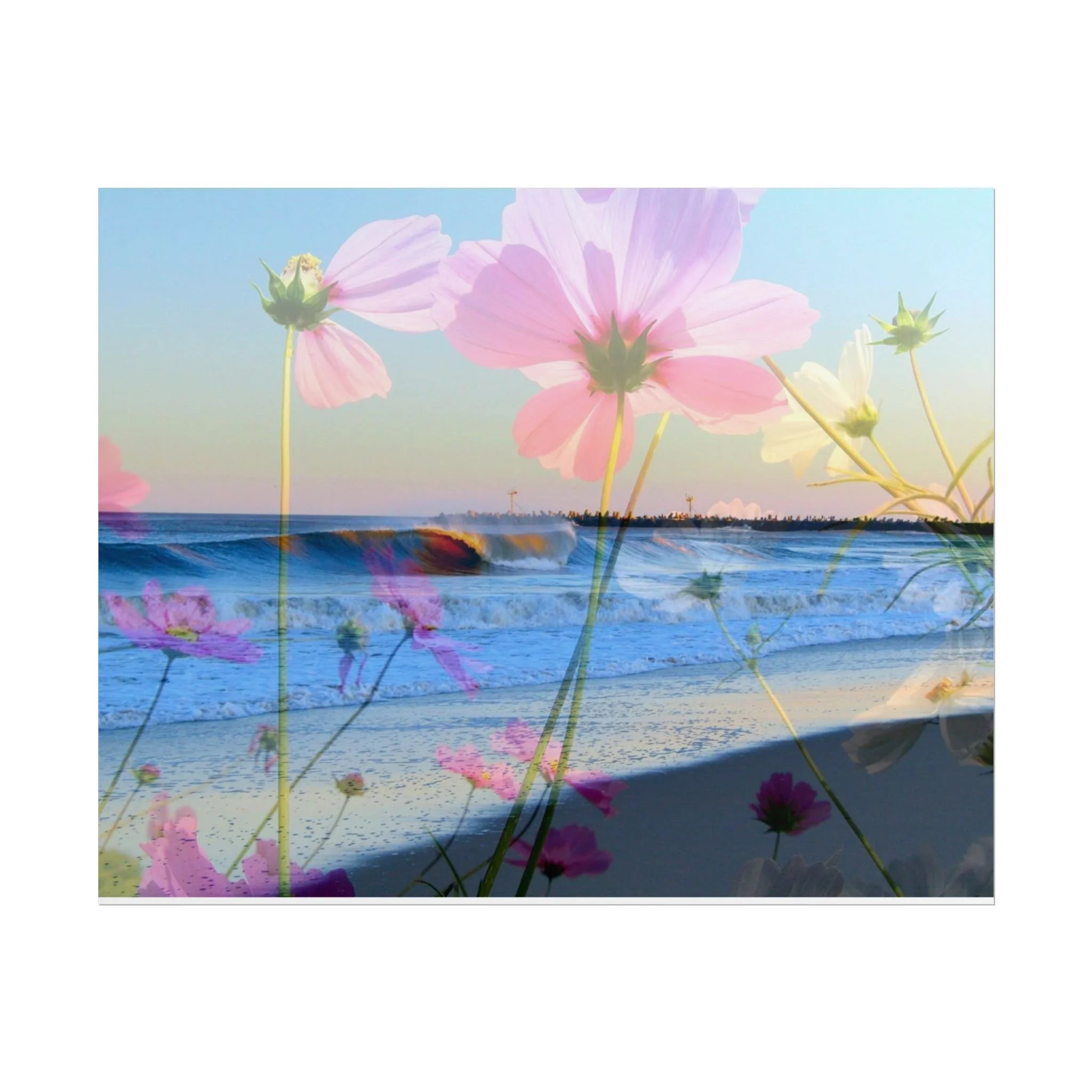 24cf0cc50ad5676994bd6519a78ec4a9