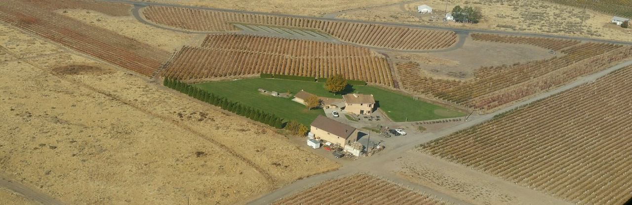 golf course.jpg