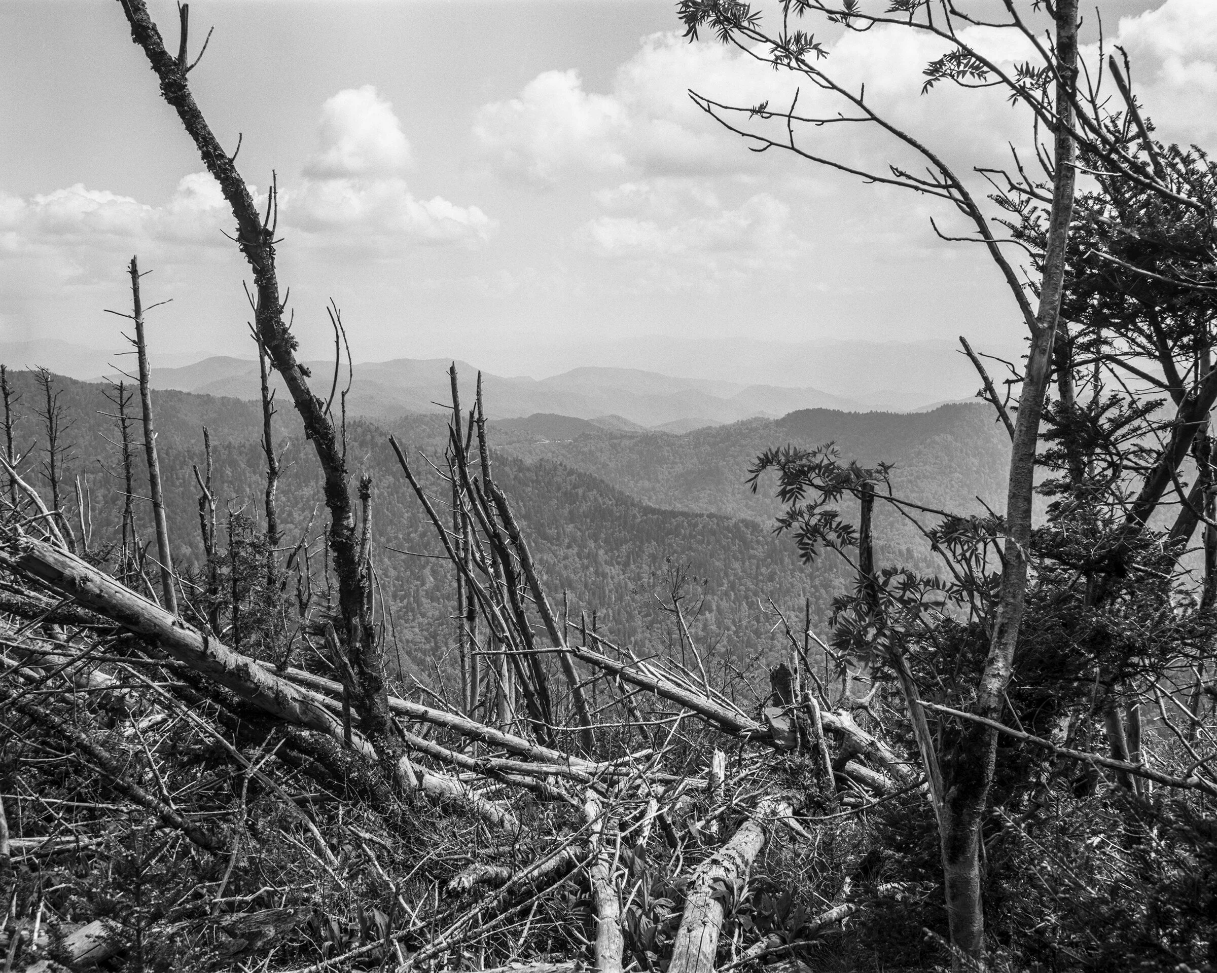 GSMNP_4x5_006-Edit.jpg