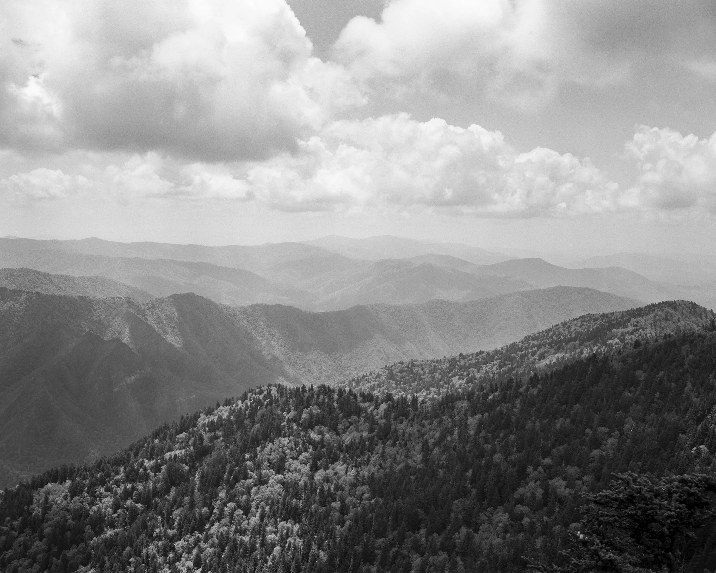 GSMNP_4x5_002-Edit.jpg