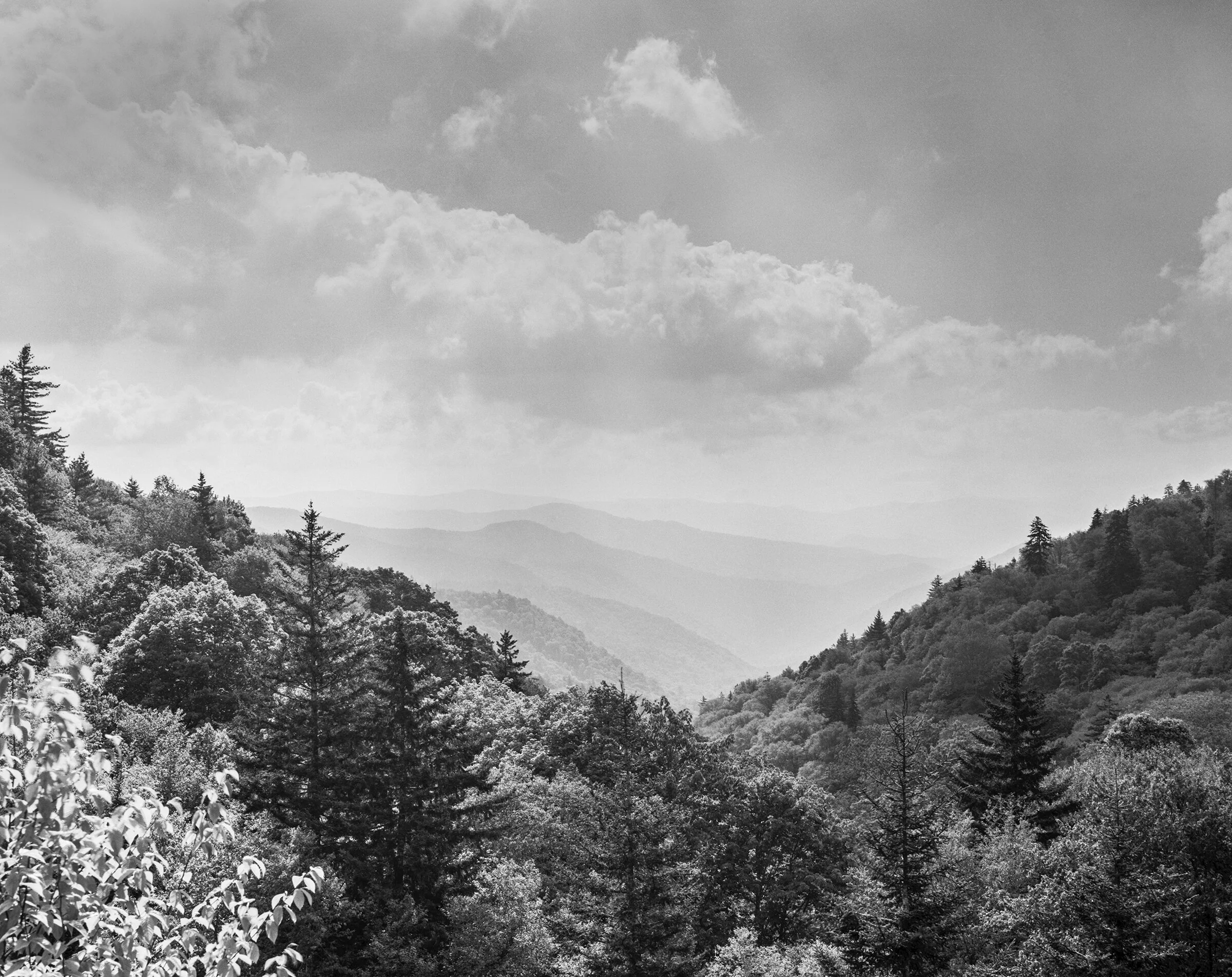 GSMNP_4x5_003-Edit.jpg