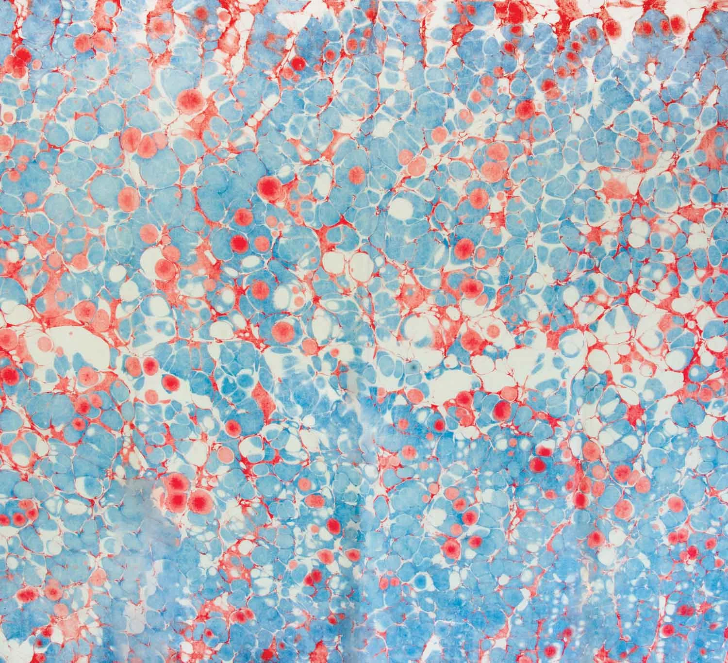 blueWhiteREd_silkLinenMarmo.jpg