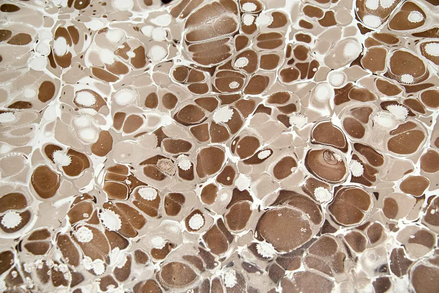 SableBeigeWhite_marmoLeather.jpg