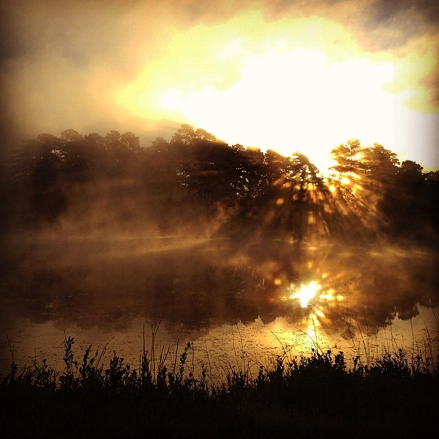 Morning at Gravatt.jpg