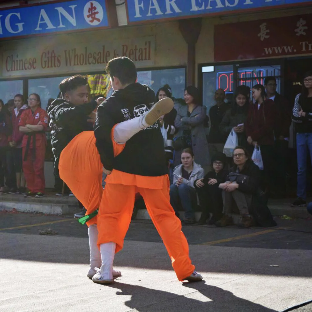 Chinese New Year performance 2017, fist defense
