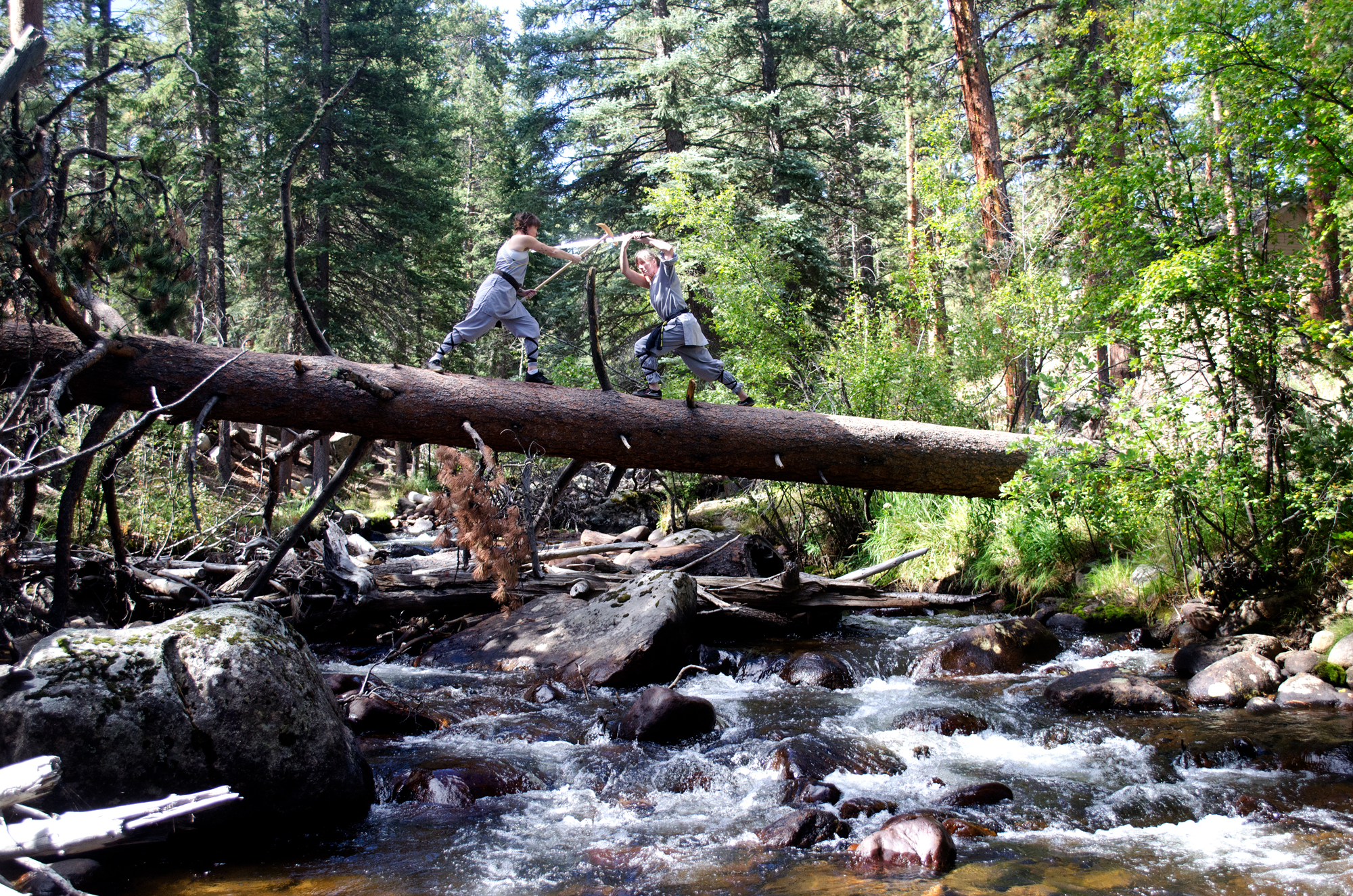 denver-shaolin-kung-fu-Kong-and-Ying.jpg