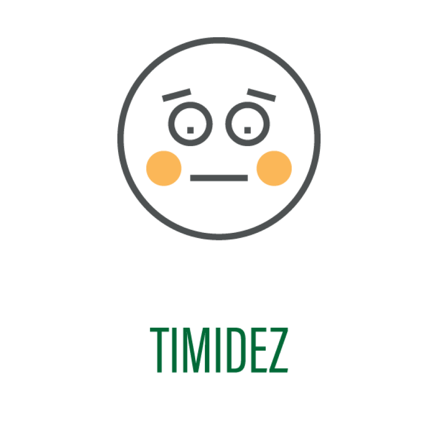 timidez.png