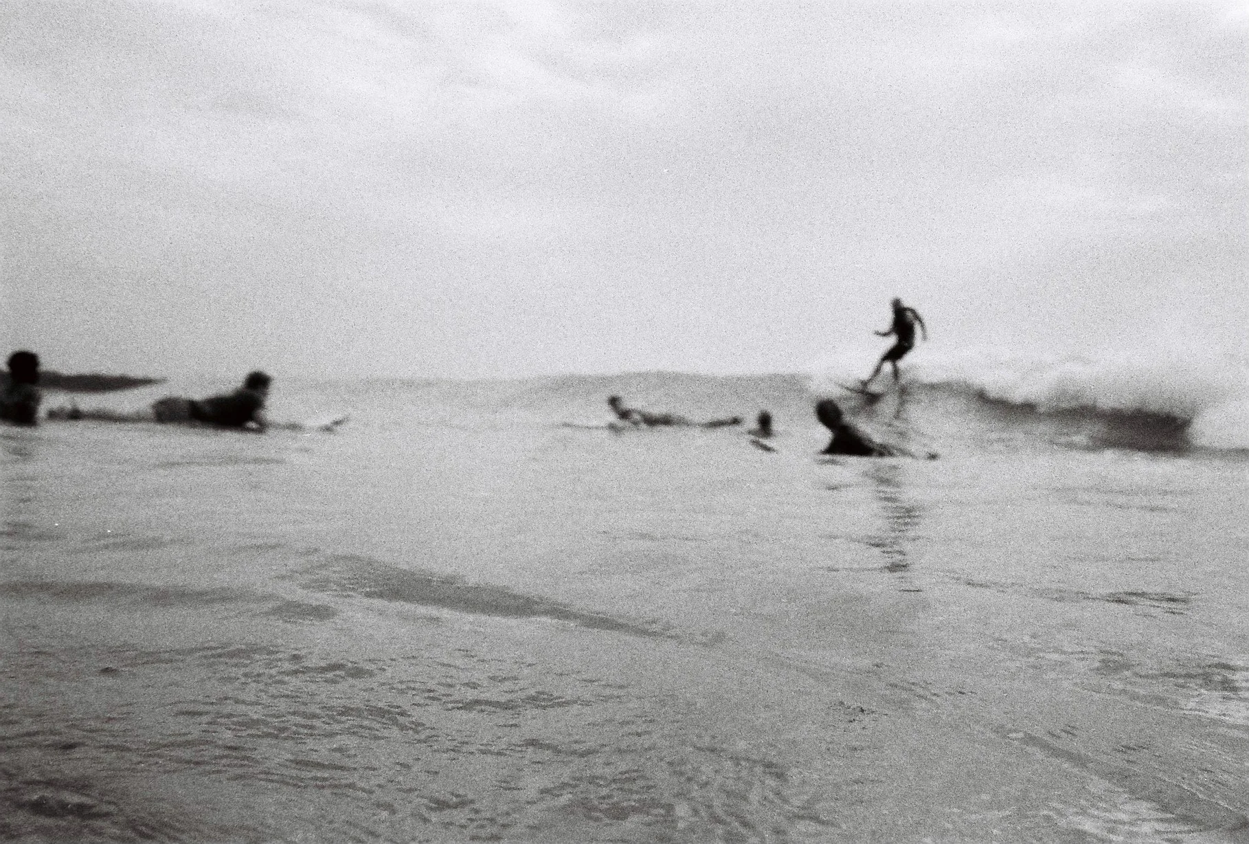Sri Lanka, 2016