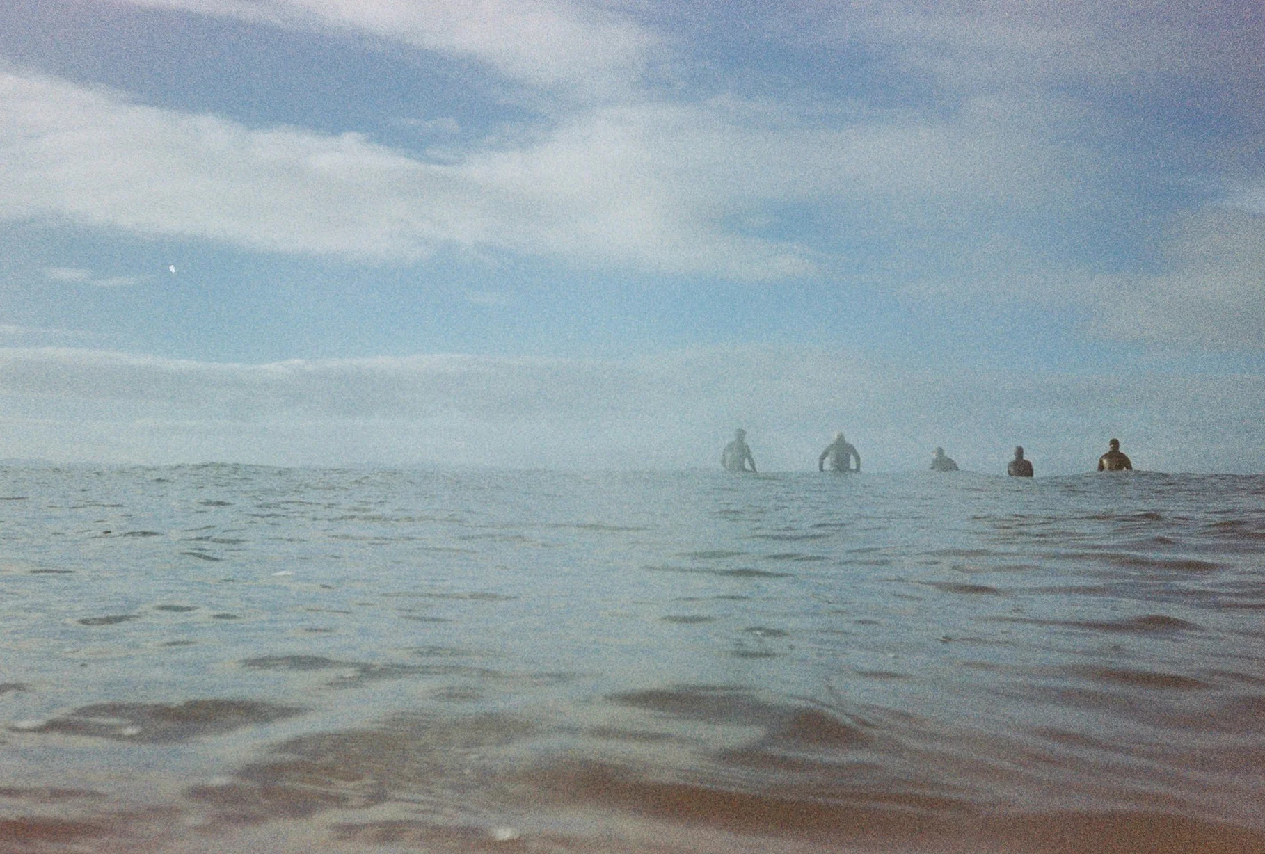 Vancouver Island, 2016