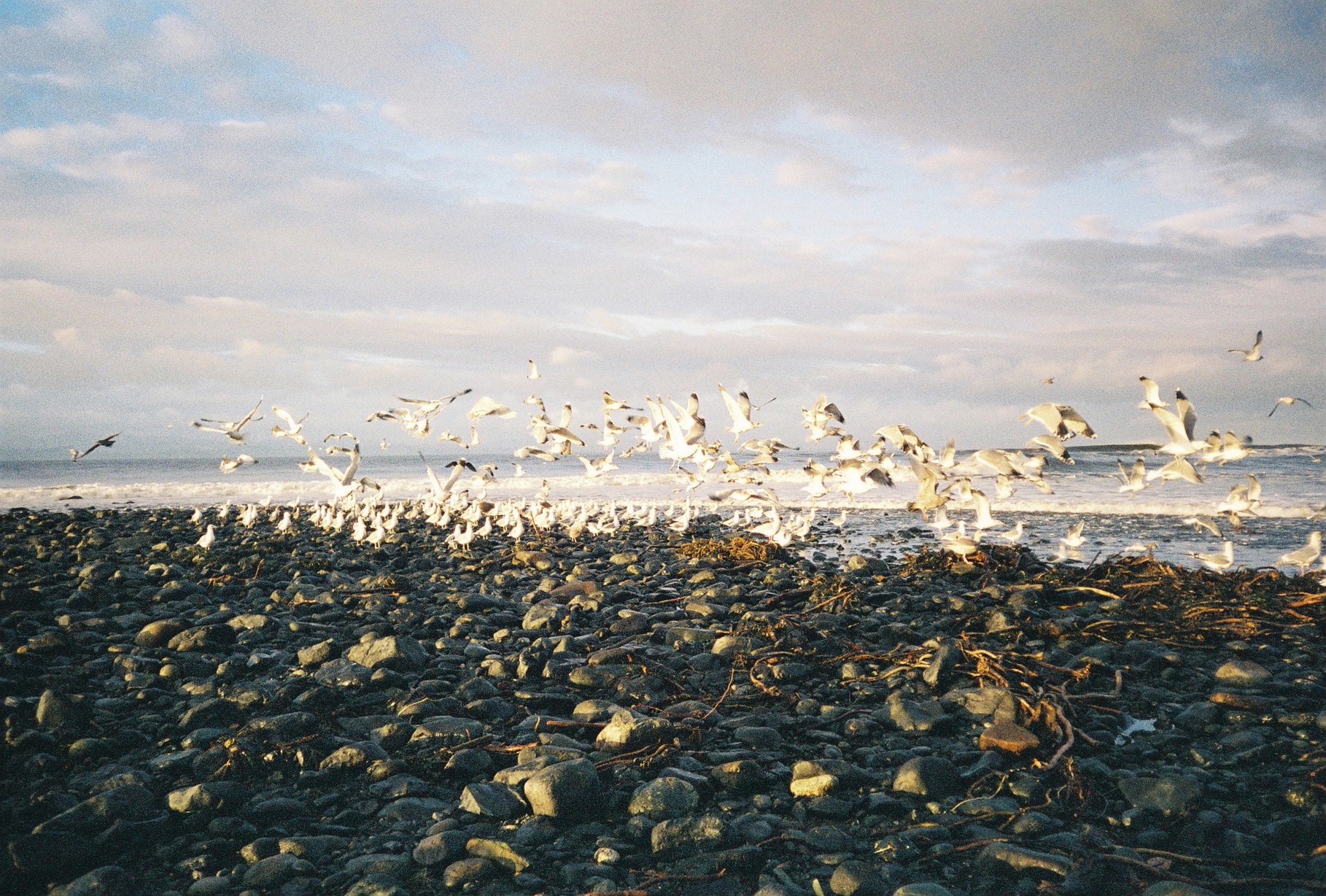 Vancouver Island