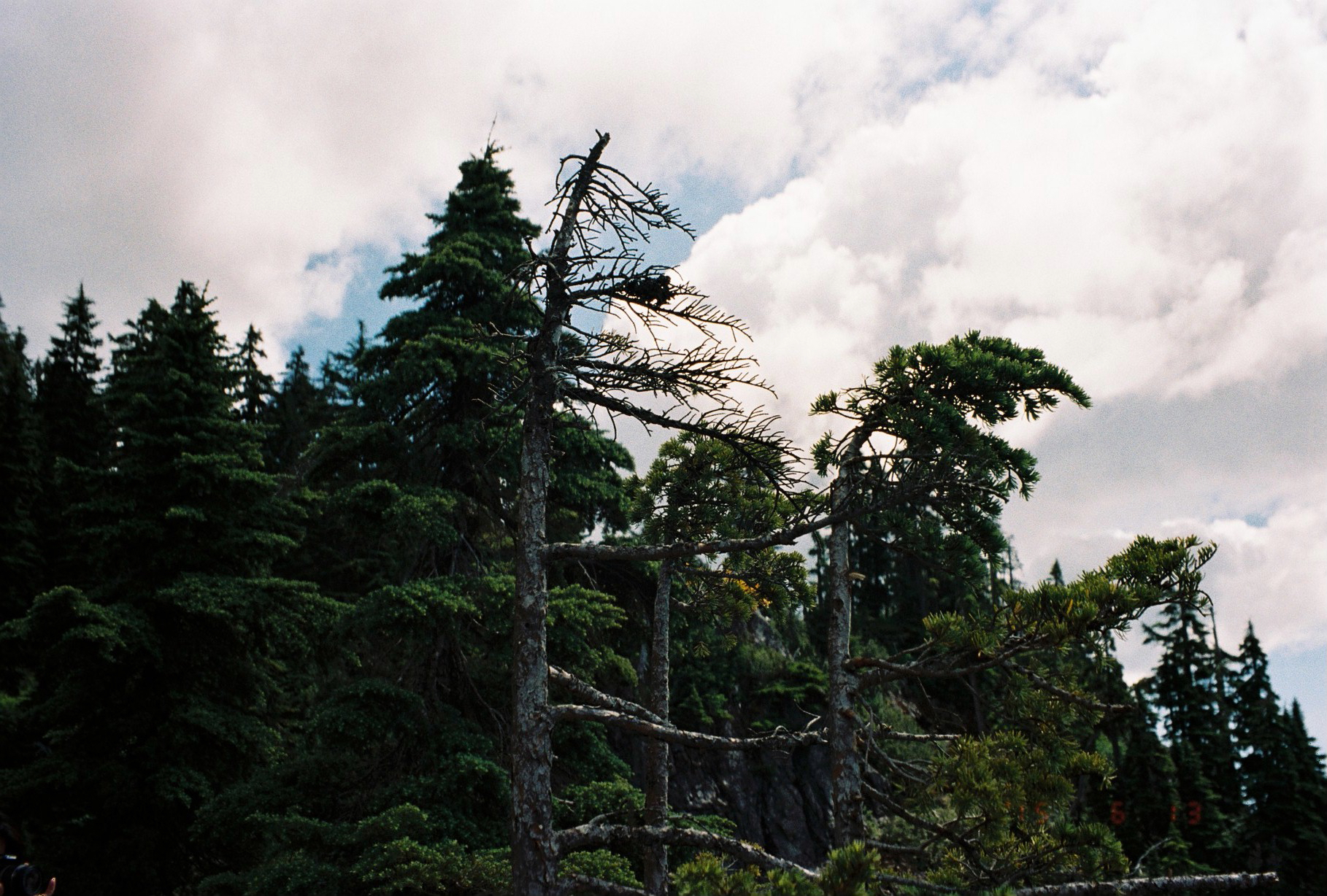 Cypress Mountain