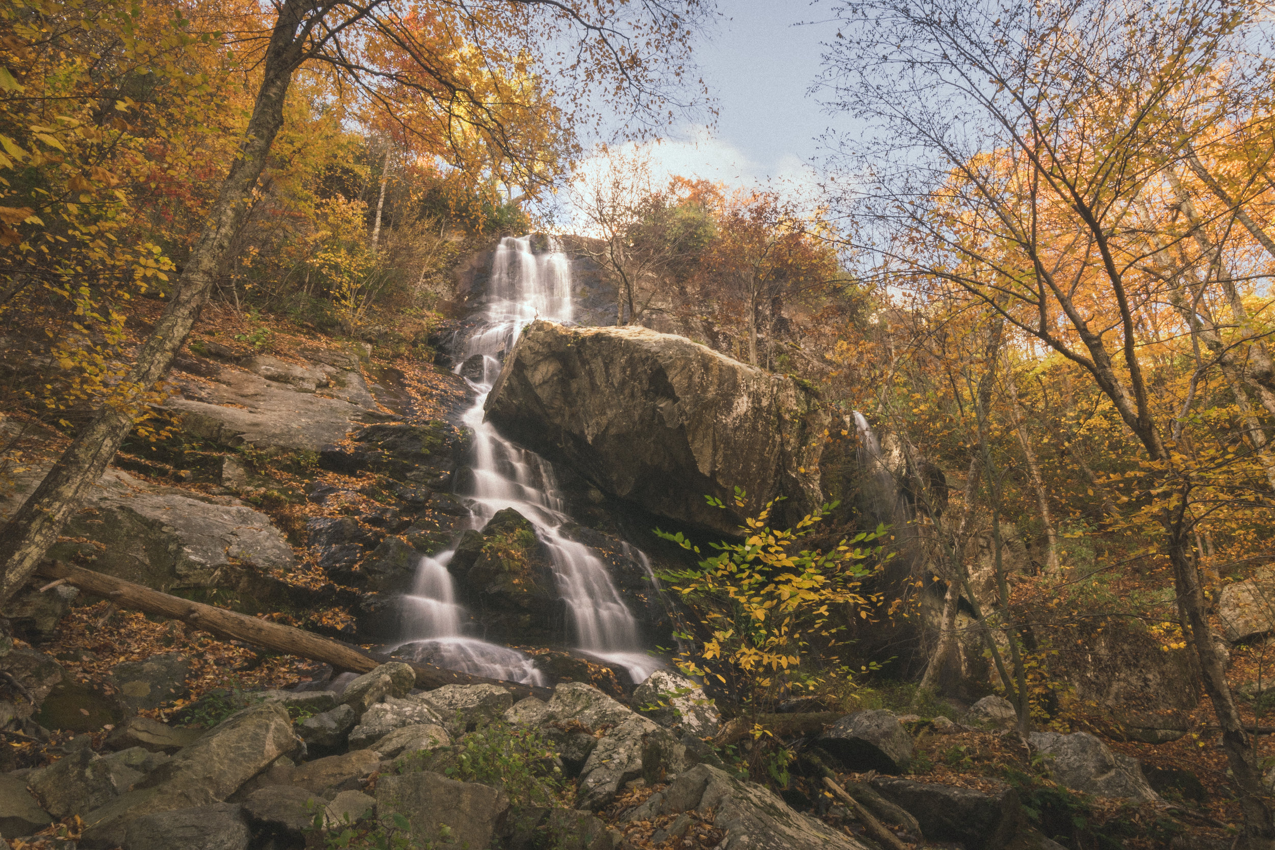 Orchard Falls