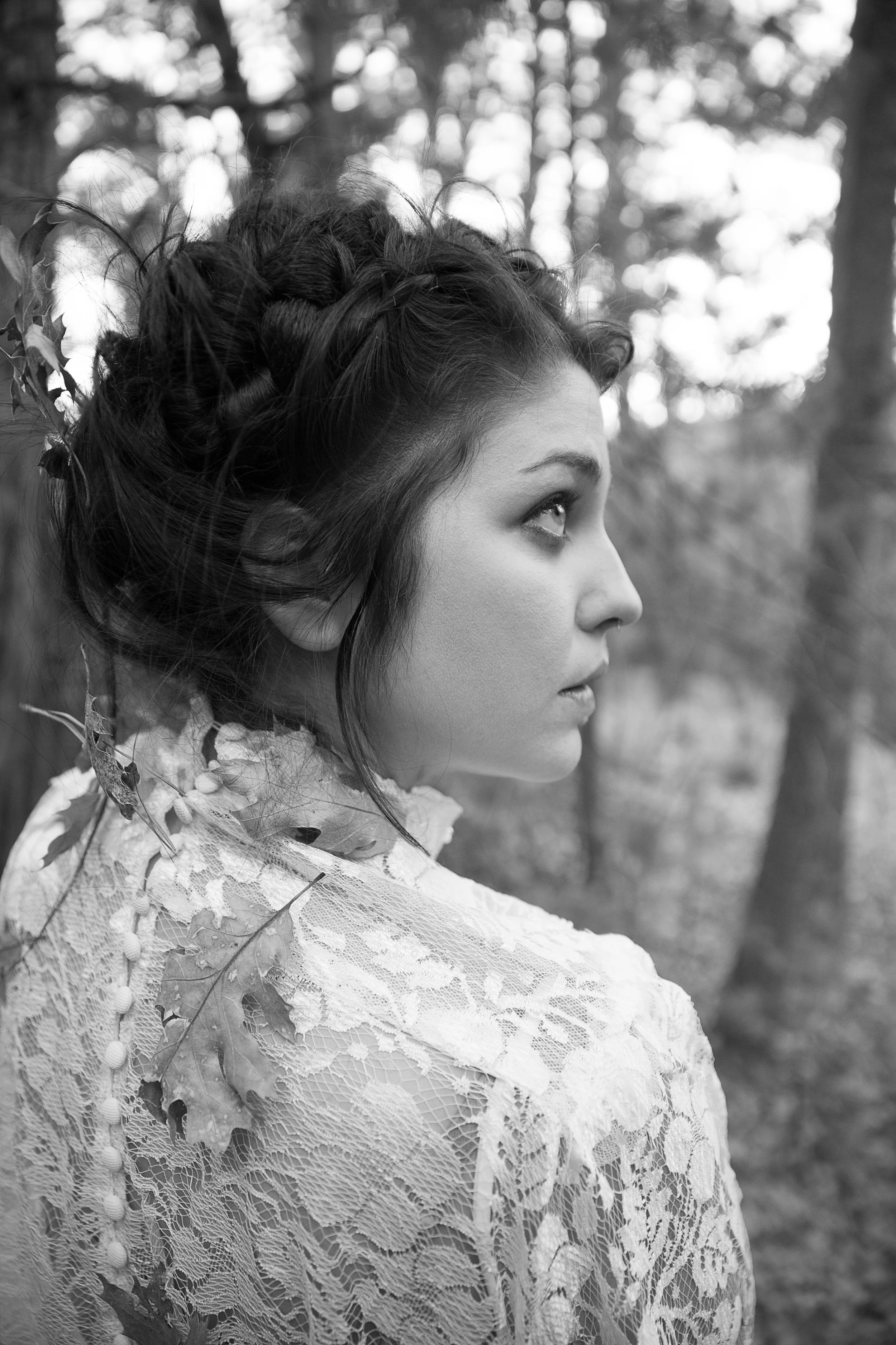 JOELSON_MIDNIGHTPINE_5144_HIRES.jpg