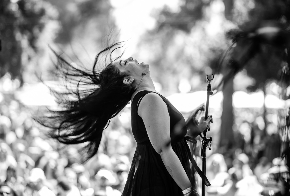 TheRedwoodsBottlerock-19.jpg