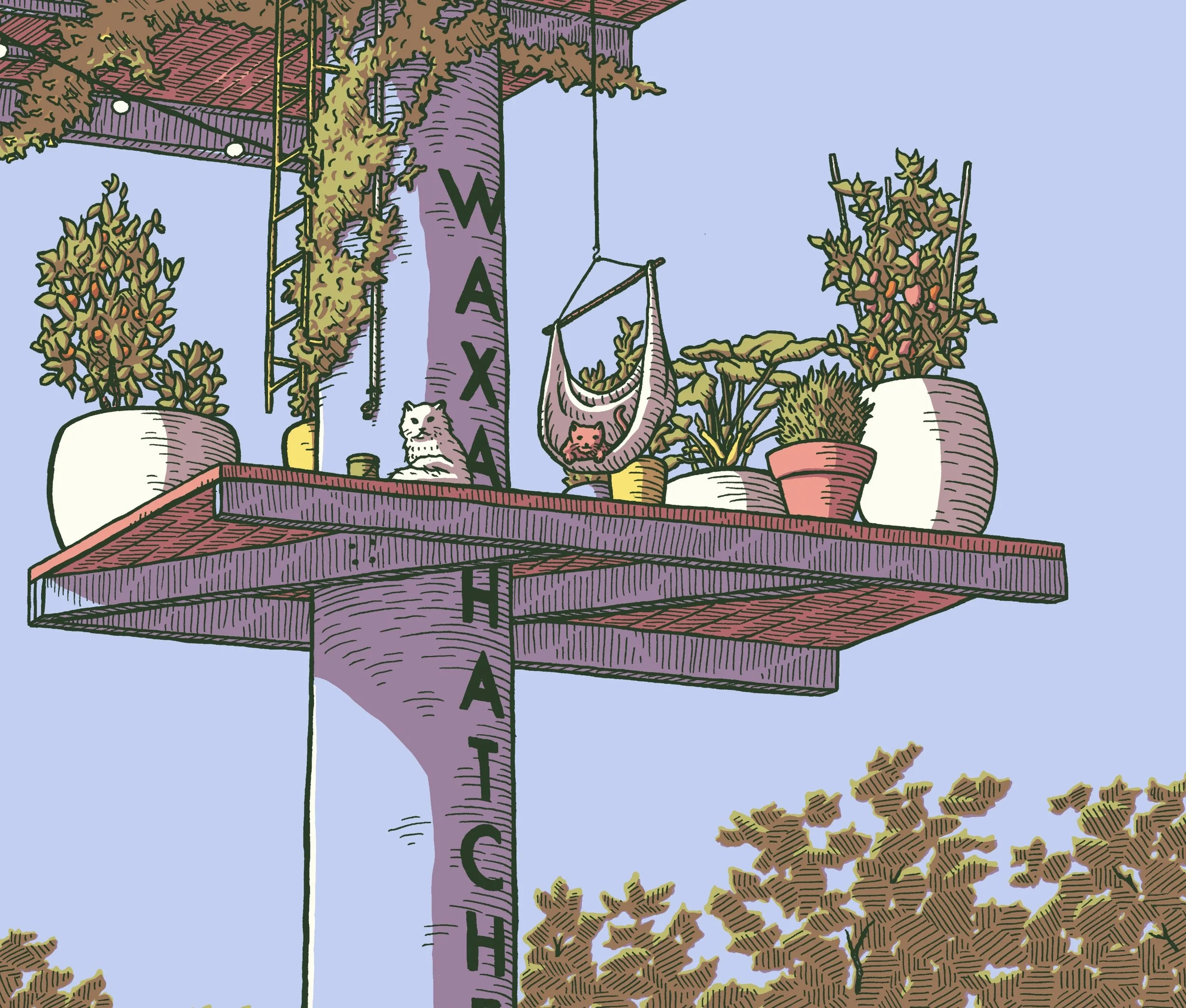 Screen Shot 2025-05-02 at 7.51.48 PM.jpg