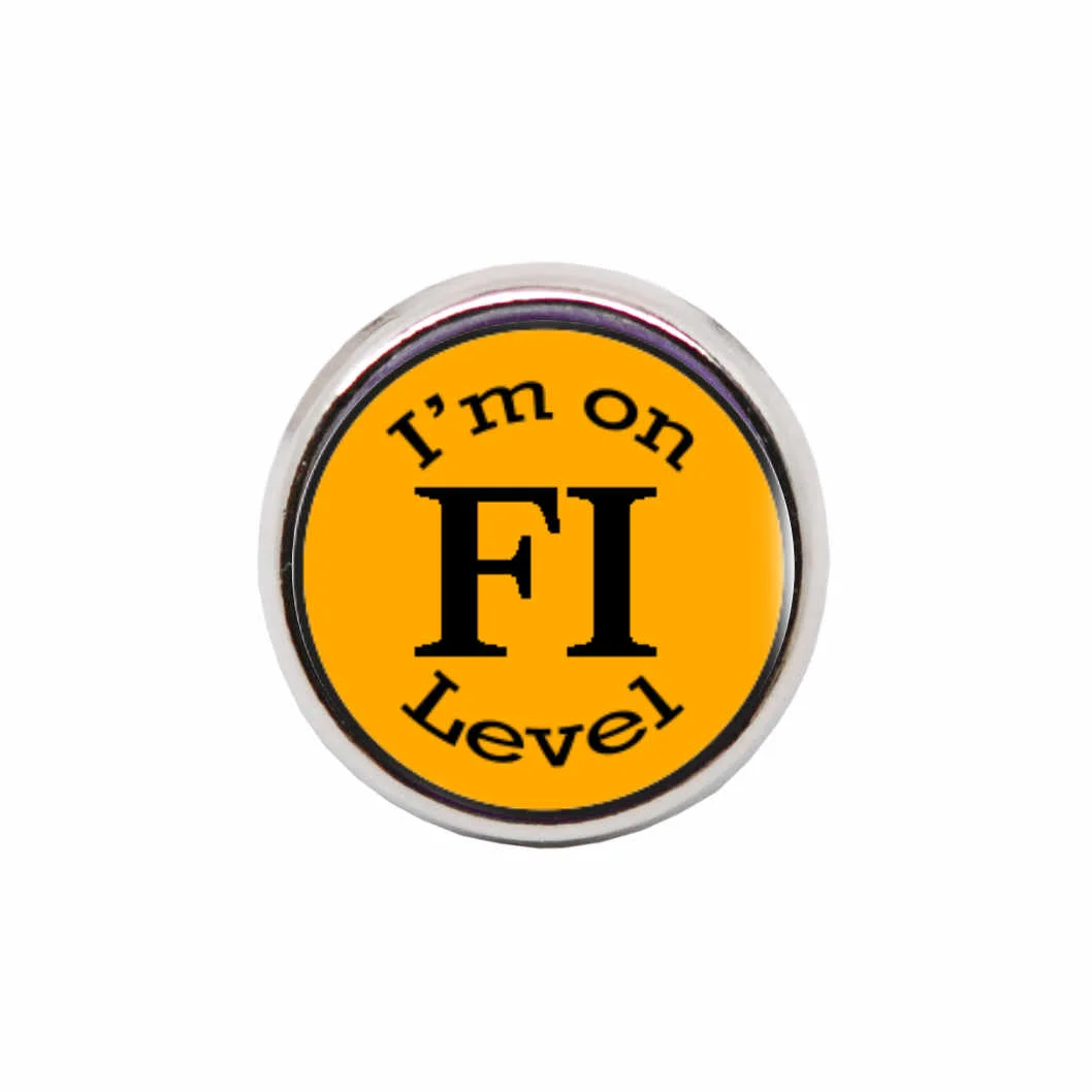 FI.jpg
