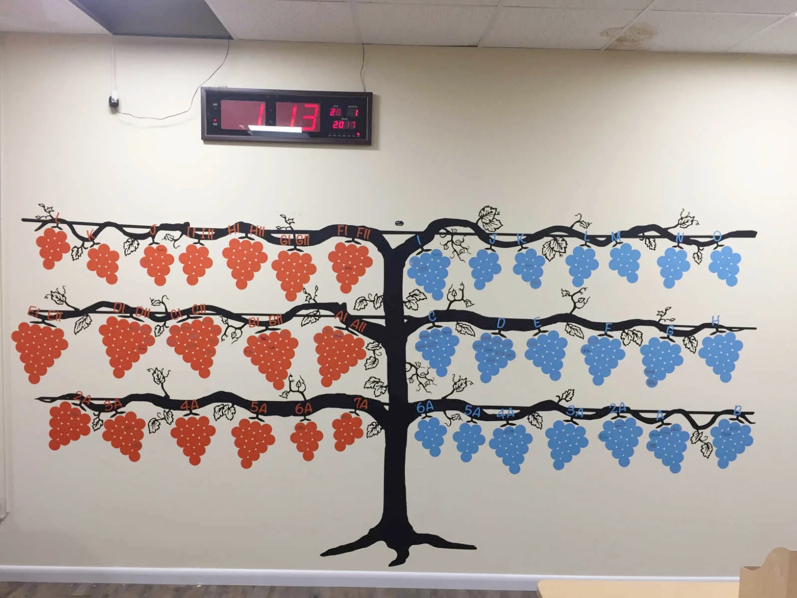 Level Wall decal for a center in NY. Roughly 12' wide x 6' tall. Total application time about 2-3 hours for vine and grape bundles.