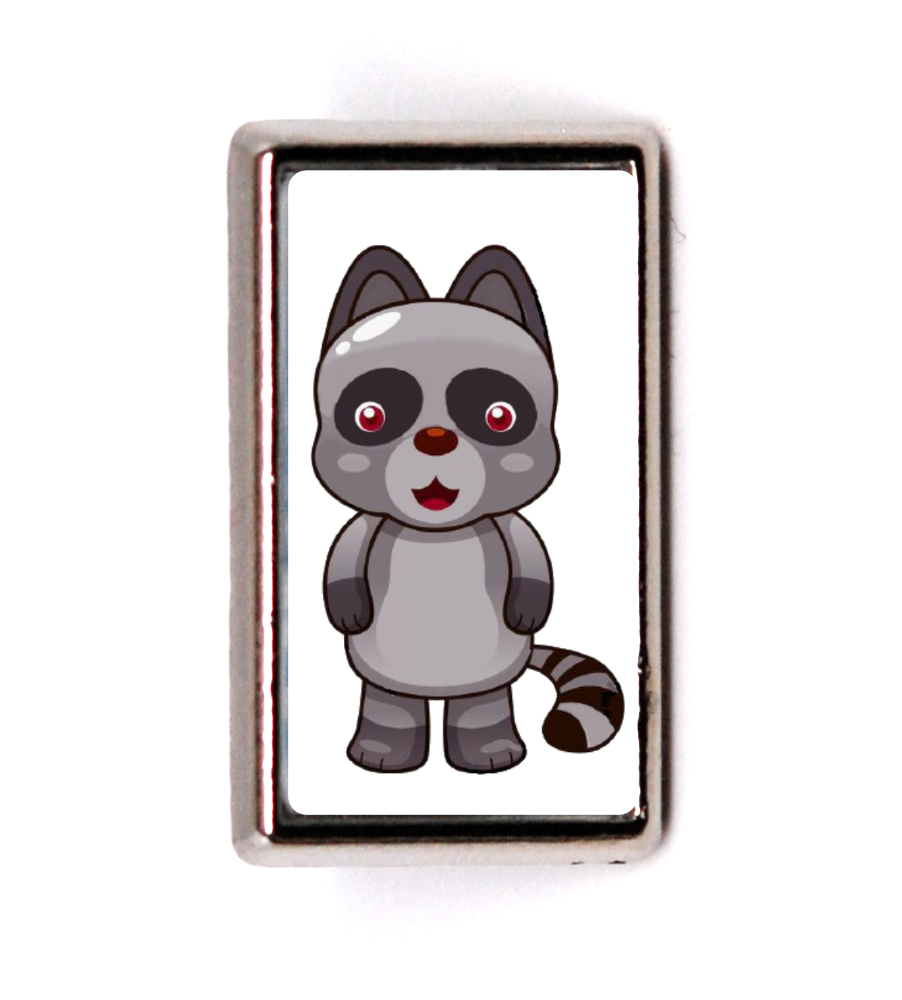 Raccoon_01.png