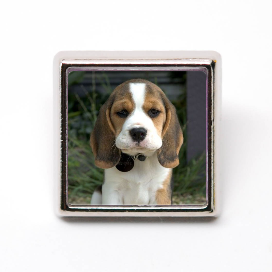CutePuppy_04.png