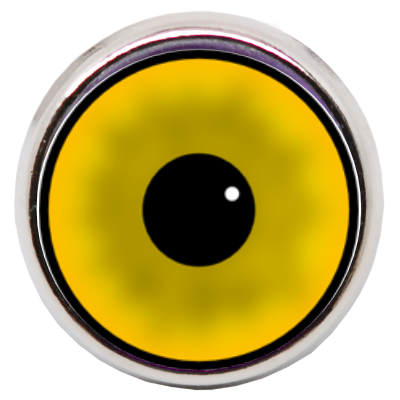 Eyeball_th.png