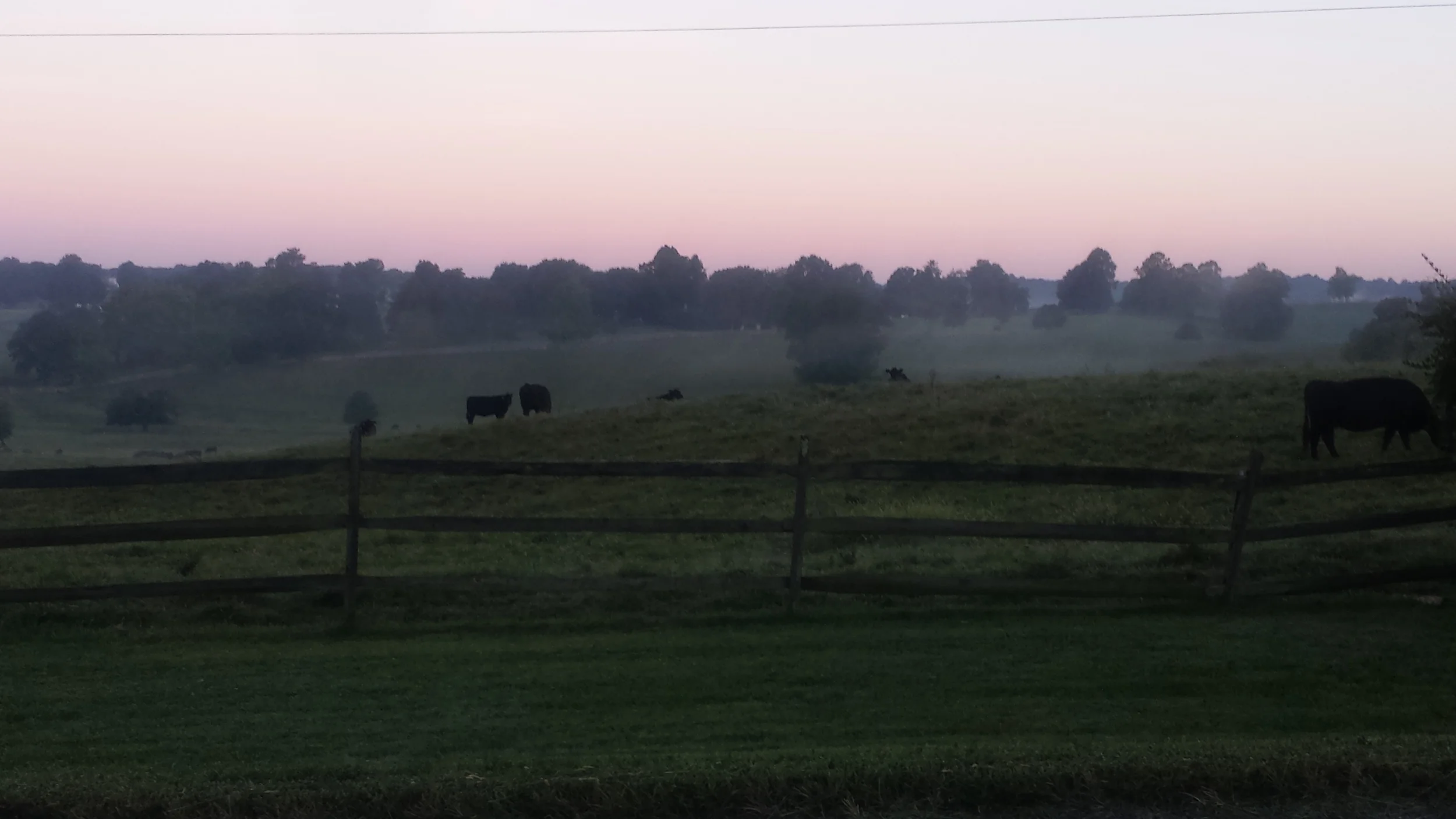 A beautiful morning in The Plains, Virginia