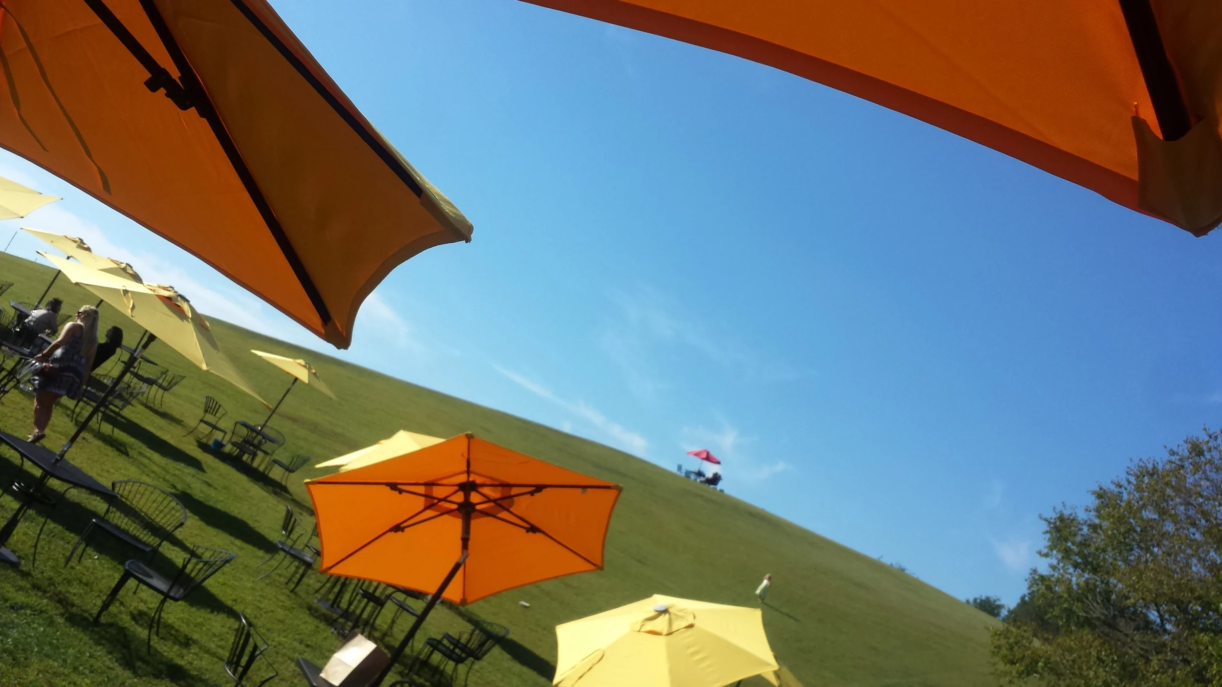 Table in the sky at Three Fox Vineyards