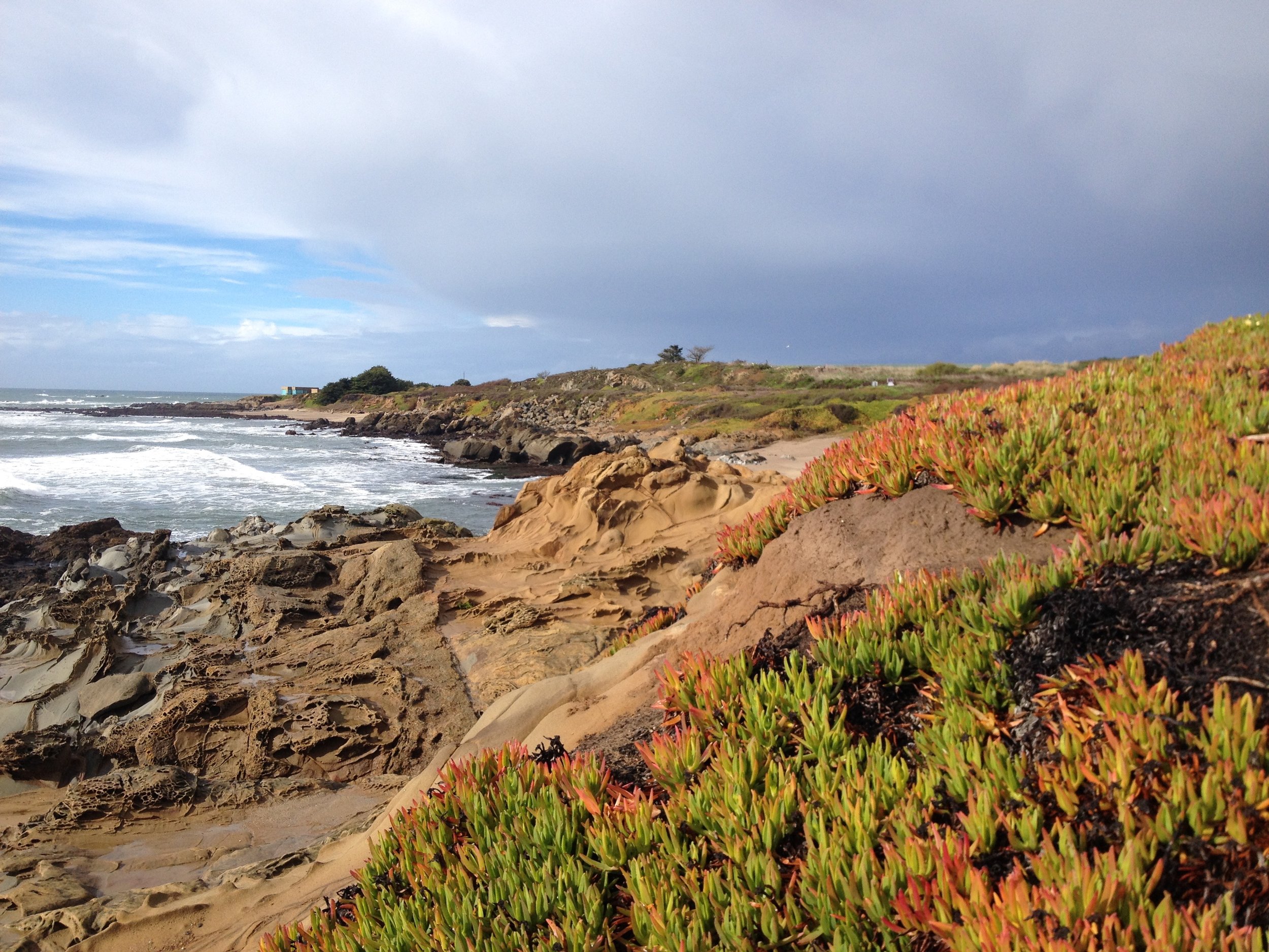 Bean Hollow Beach