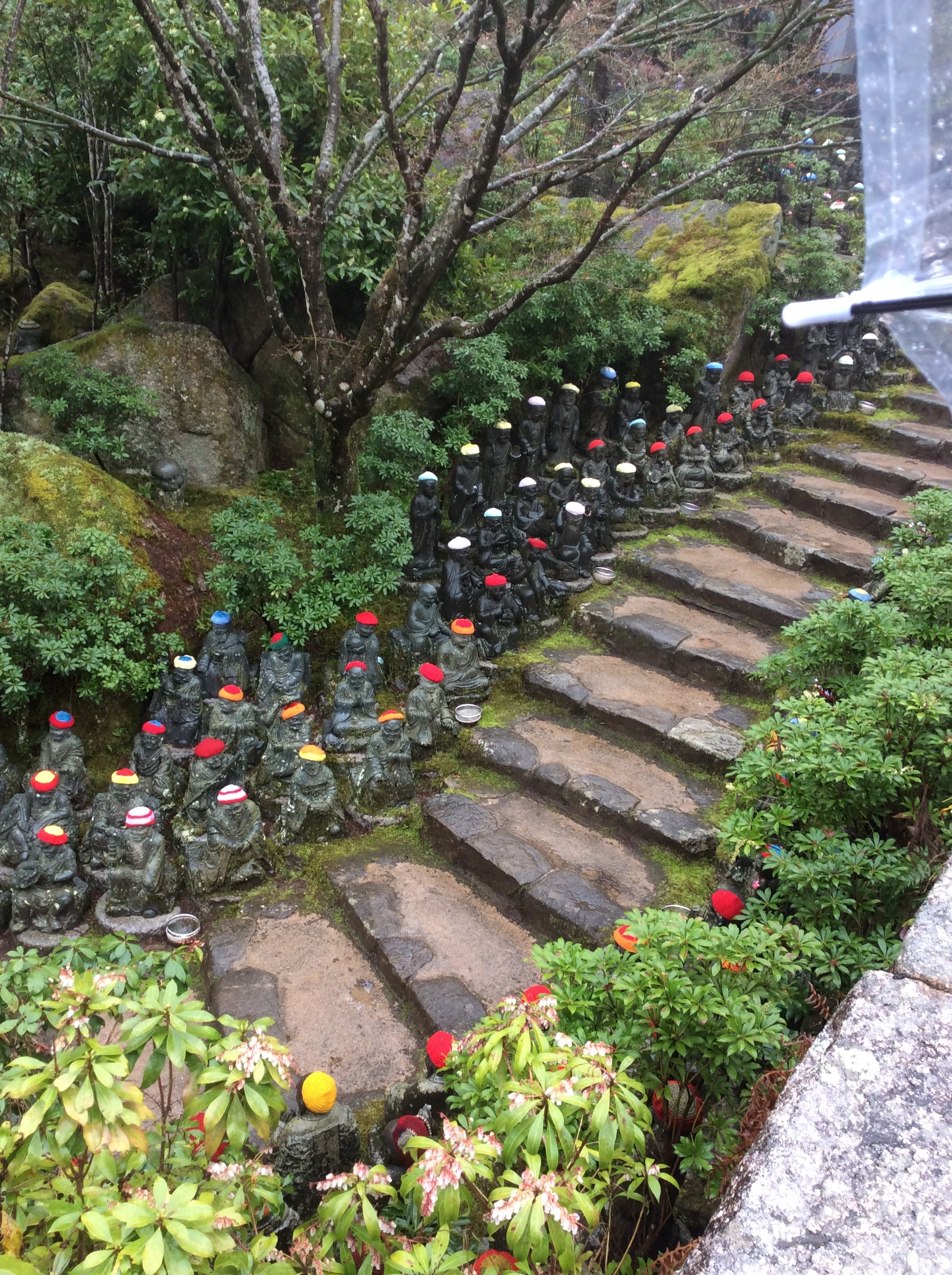 Steps to Daisho- In .