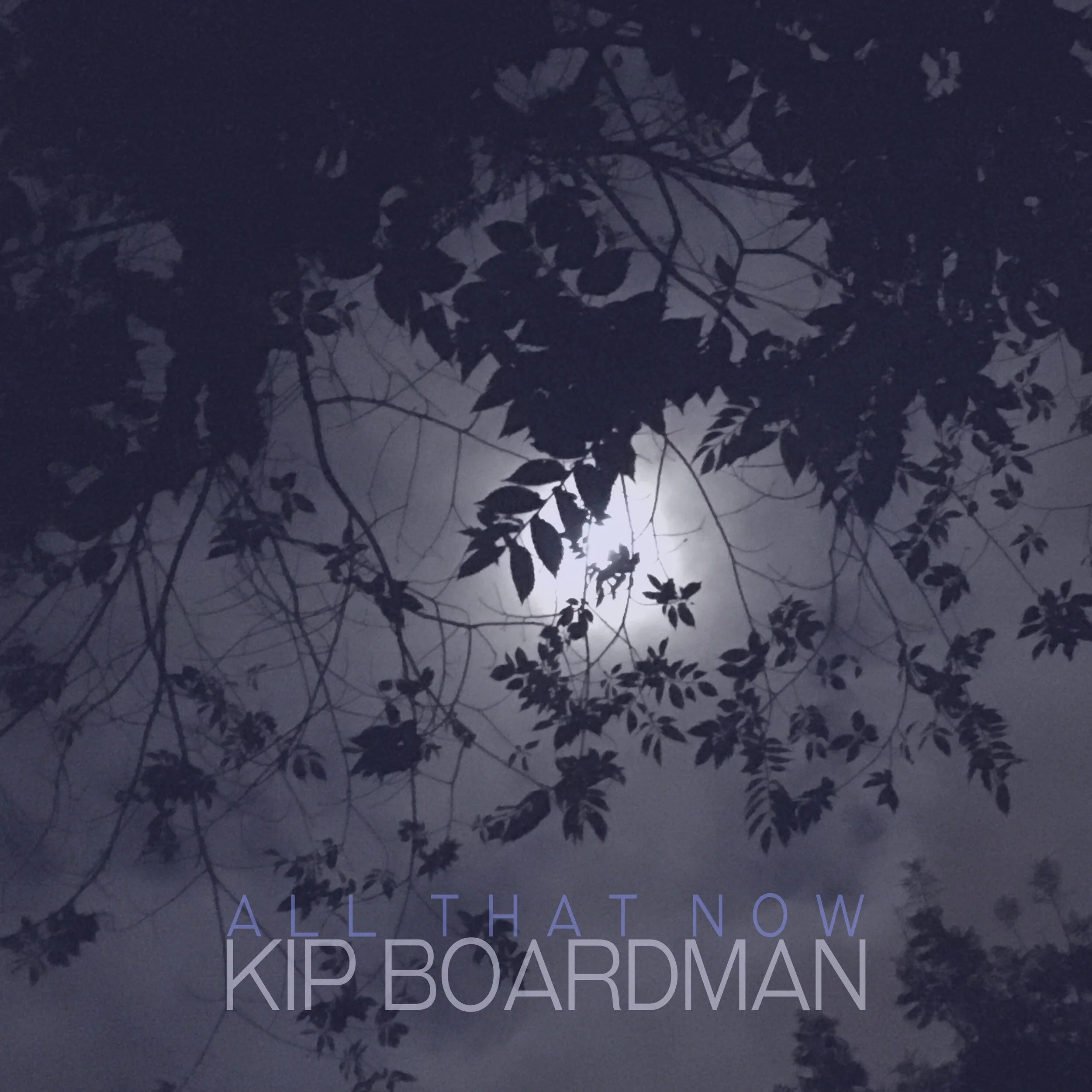 Kip Boardman | ALL THAT NOW.jpg