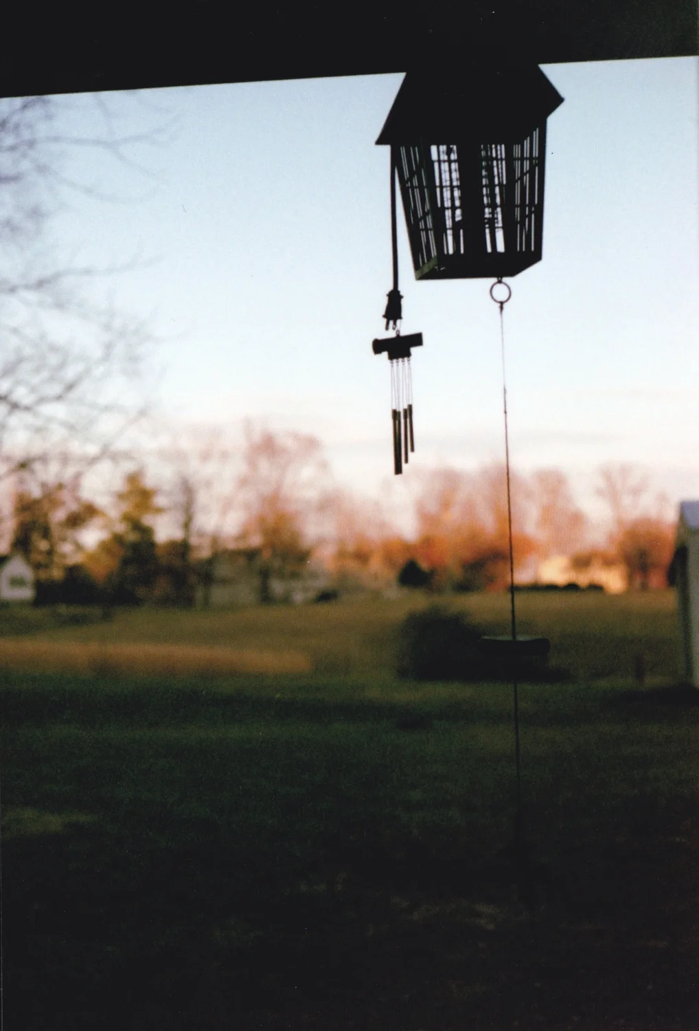 Untitled 3.jpg