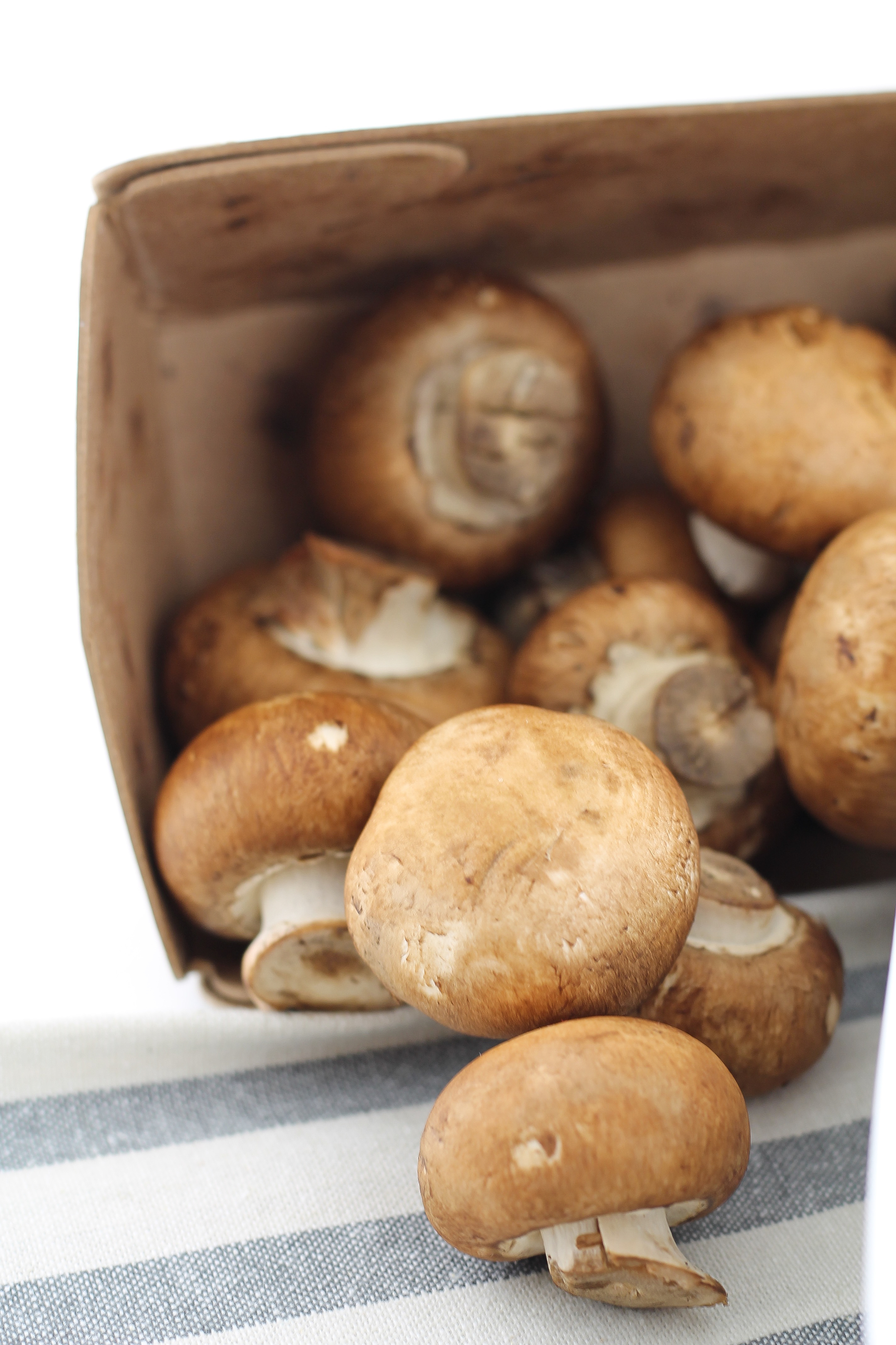 Real Food, Cream of Mushroom Soup, Homemade, Beef Bone Broth, Paleo Soups, Simple, Easy, Quick