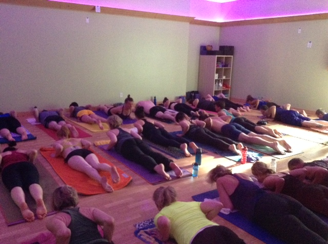 All photos courtesy of YogaMN