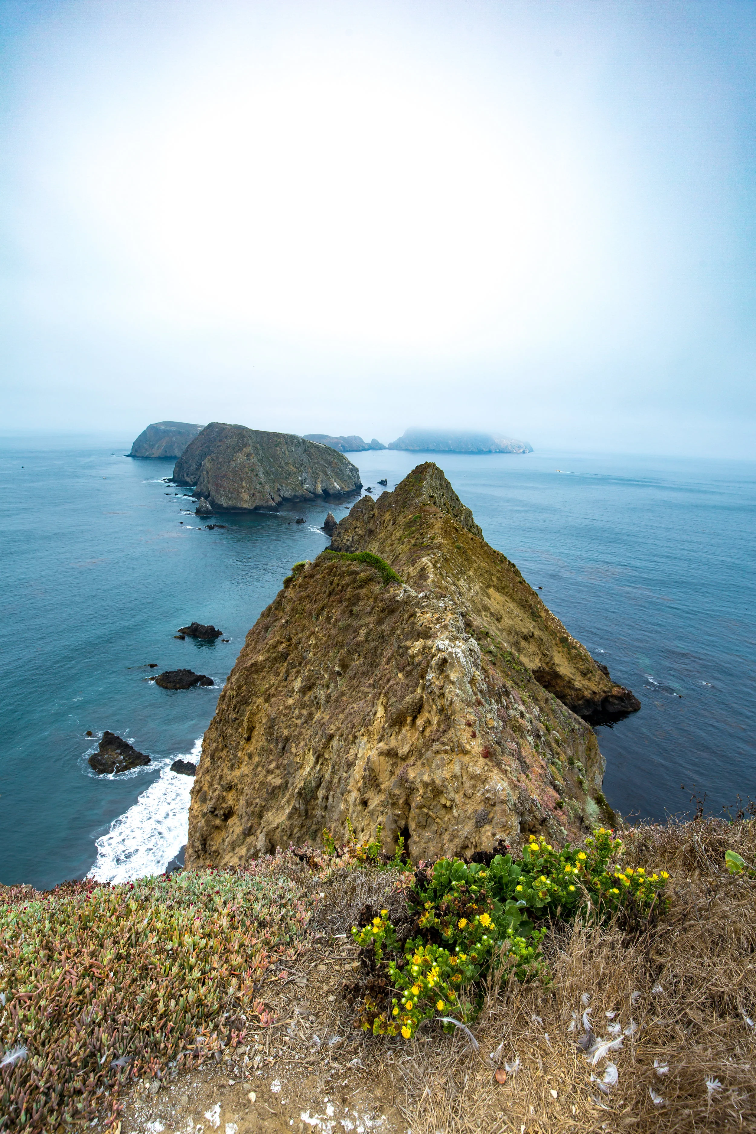 Channel Islands, Channel Islands National Park, Anacapa Island, Island Packers, Inspiration Point