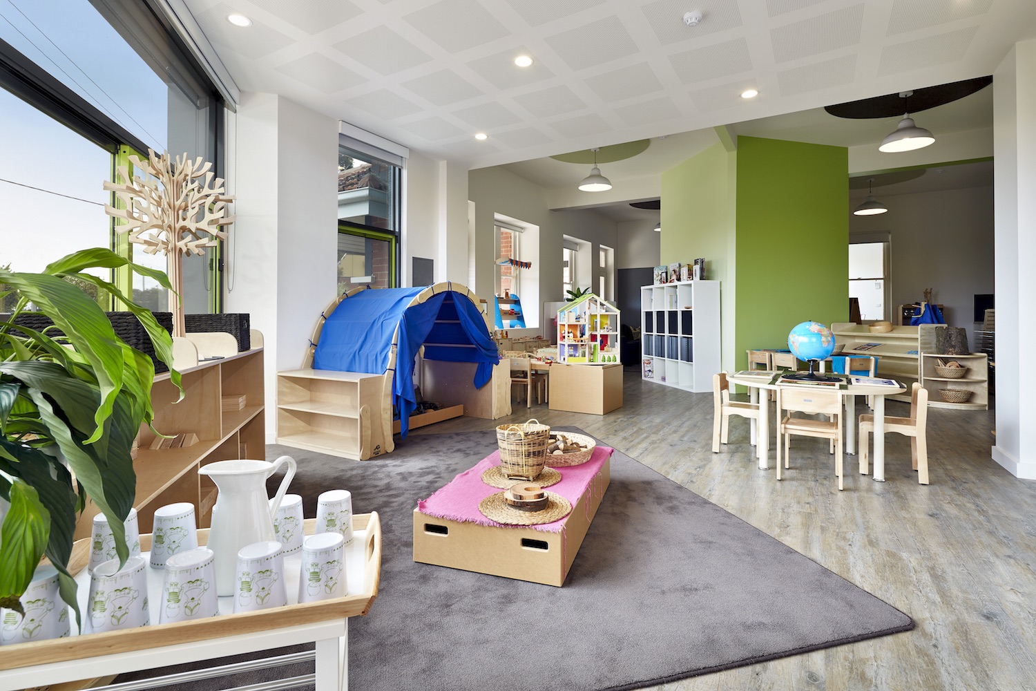 Bambini_Newtown_GoldenWattle_001.jpeg
