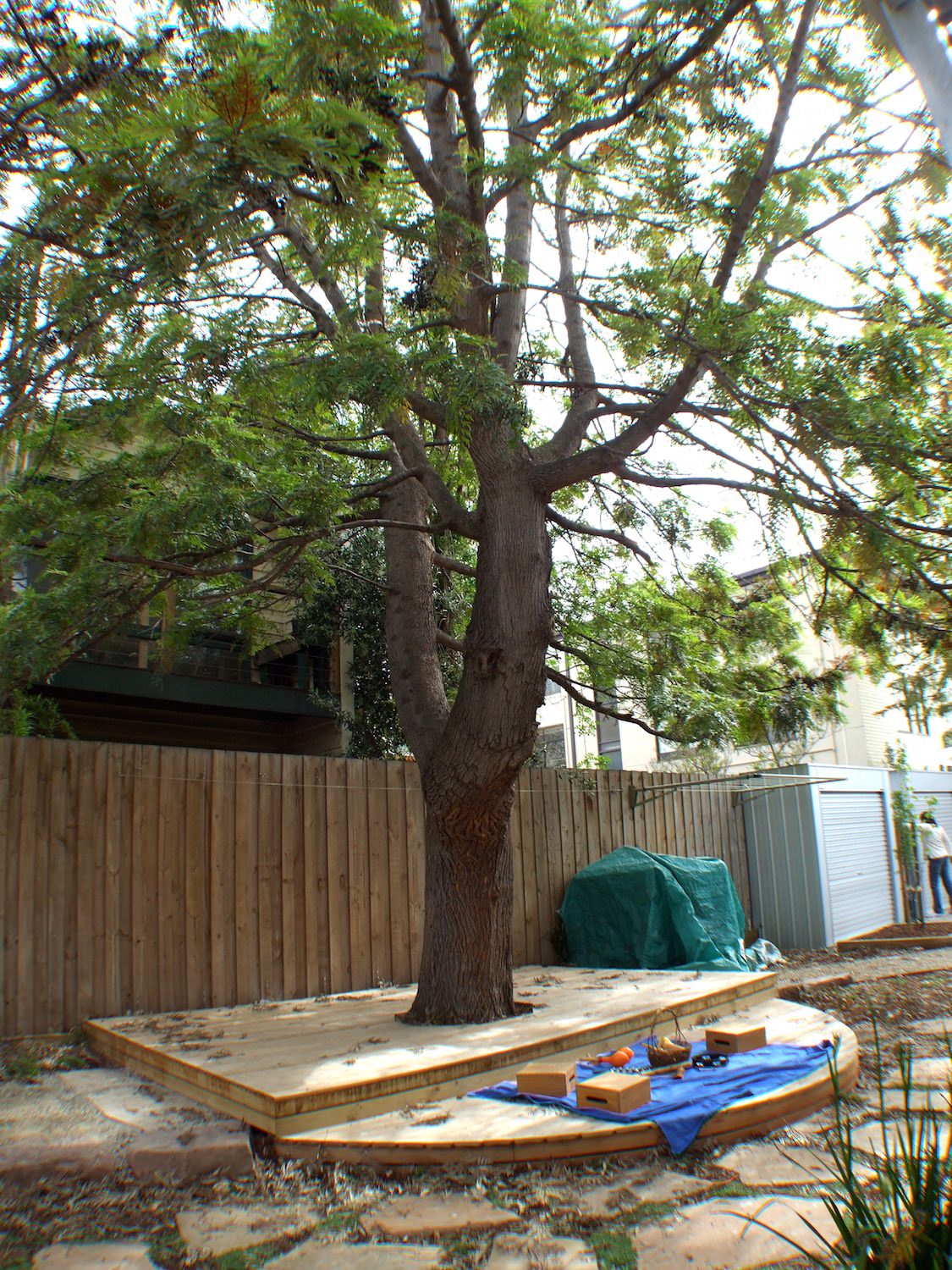 Poets Grove - 24.jpeg